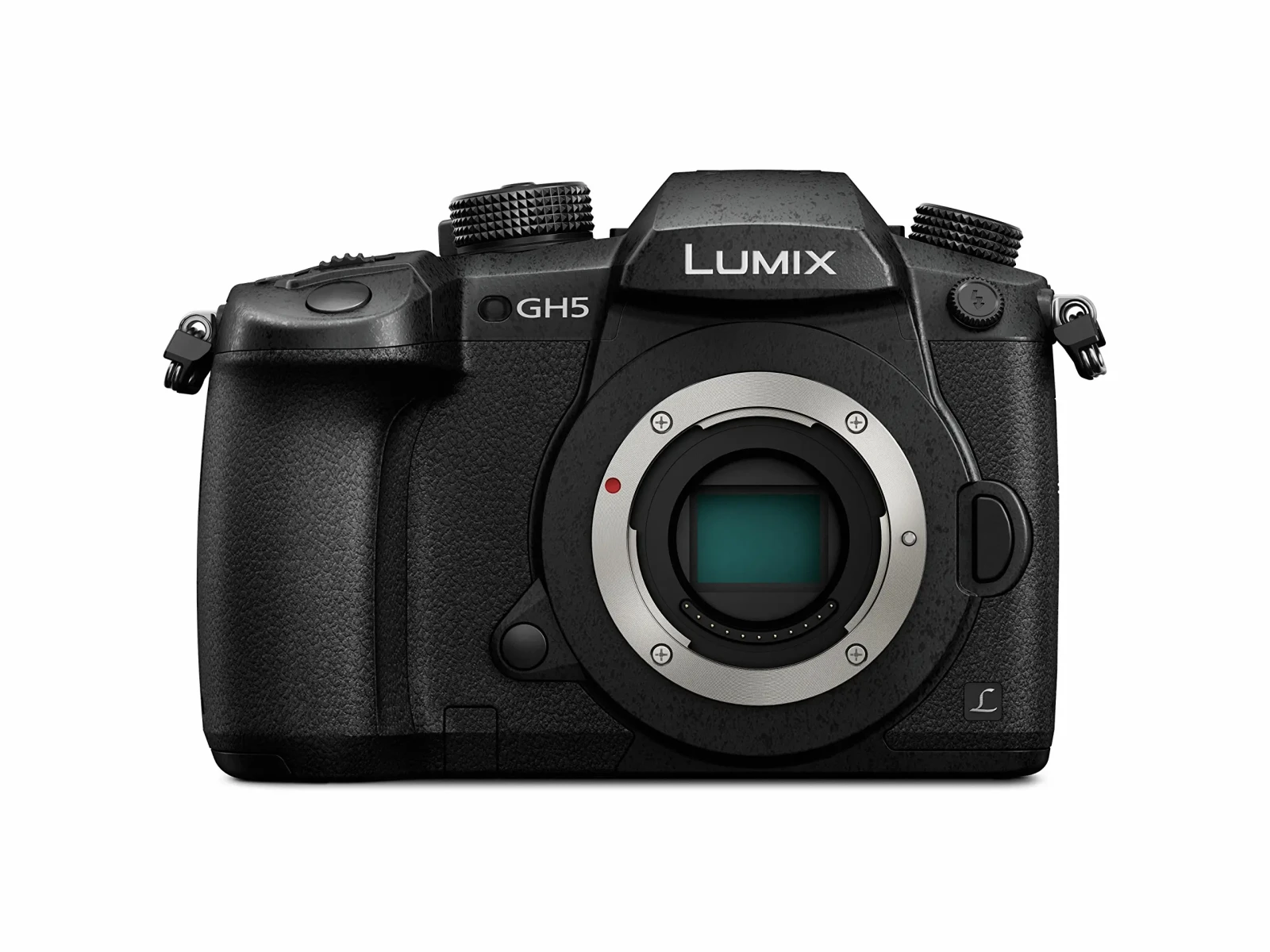 Panasonic LUMIX GH5 - Photo 1 sur 1
