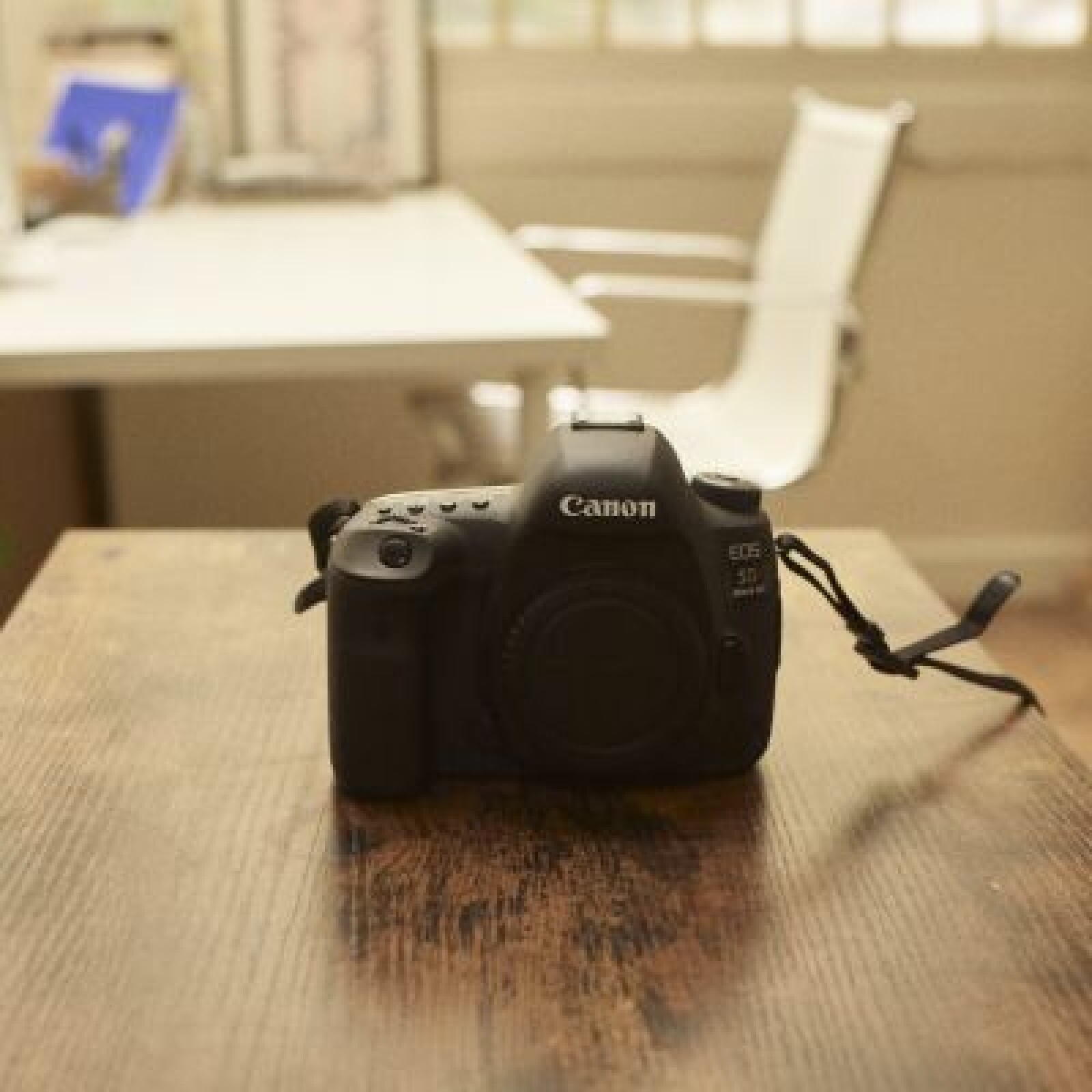 Canon 5D MkIV - Photo 1 sur 1
