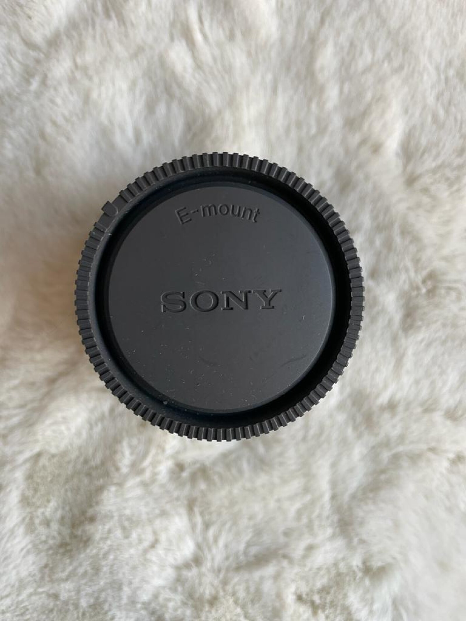 Sony 55mm f/1.8 - Photo 5 sur 5