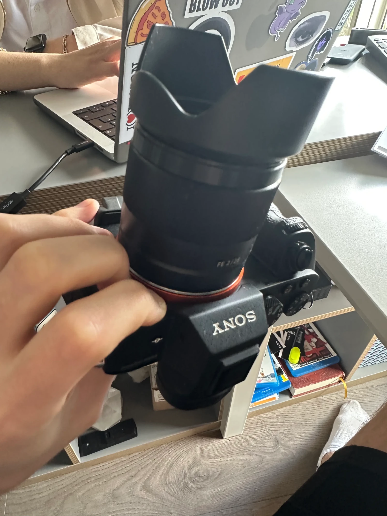Sony Alpha 7 II (A72) - Photo 6 sur 6