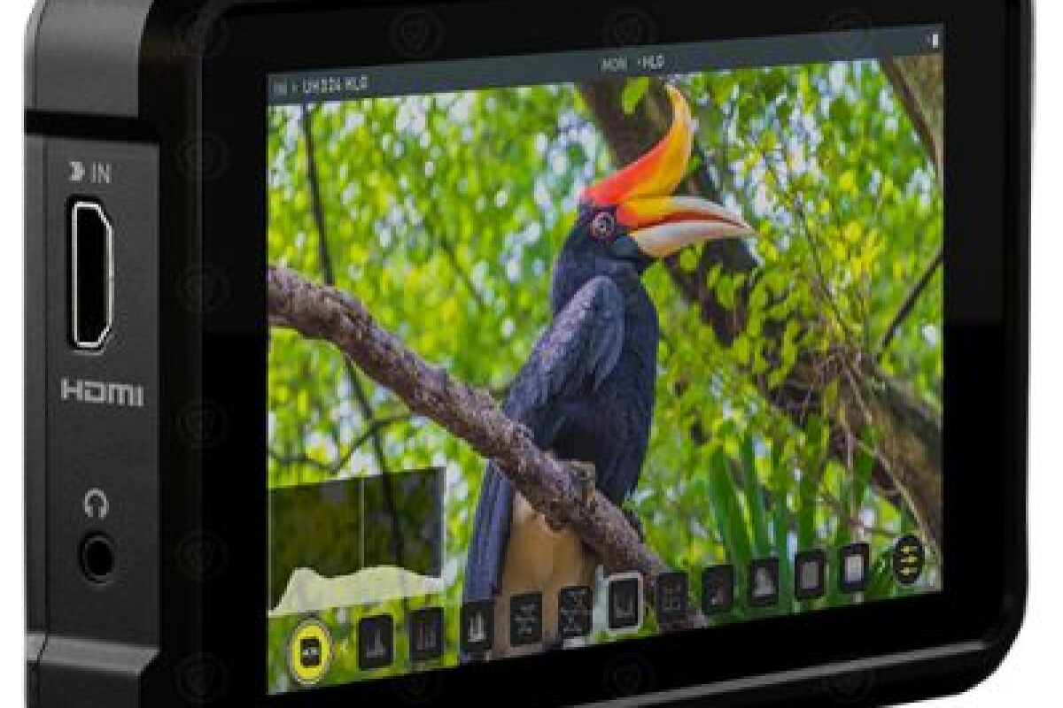 Location Atomos Shinobi HDMI Moniteur 5'' - Lightyshare