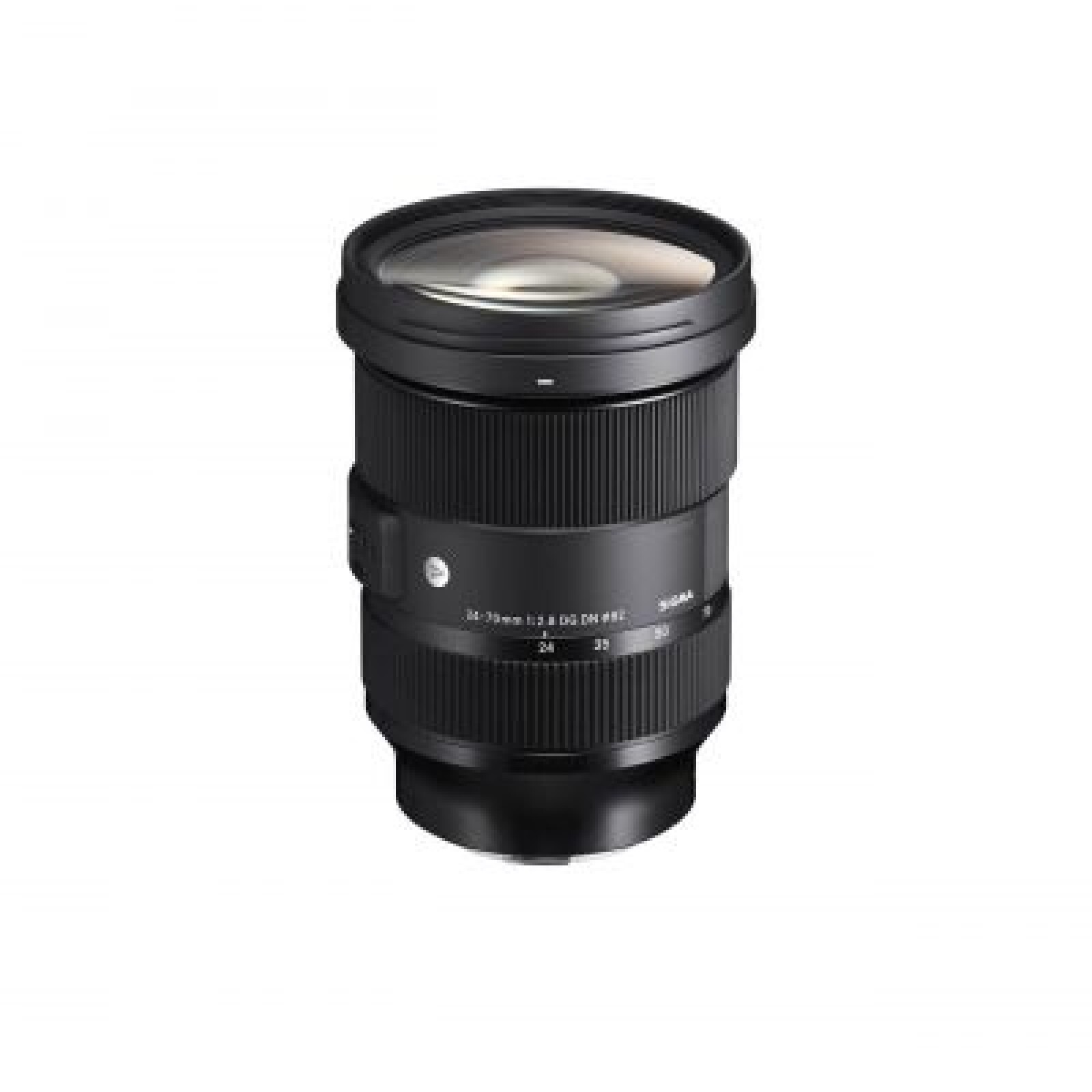 Sony a7SIII + 24-70 f:2.8 + micro (Sony A7S III, A7S3, Alpha 7SIII, Alpha 7S3) - Photo 3 sur 5