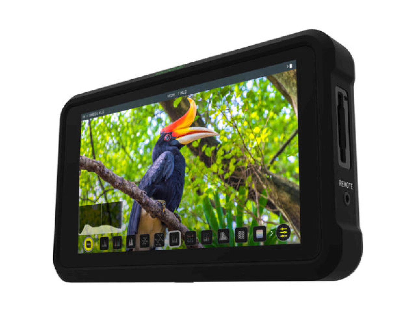 Atomos Shinobi HDMI - Photo 1 sur 1