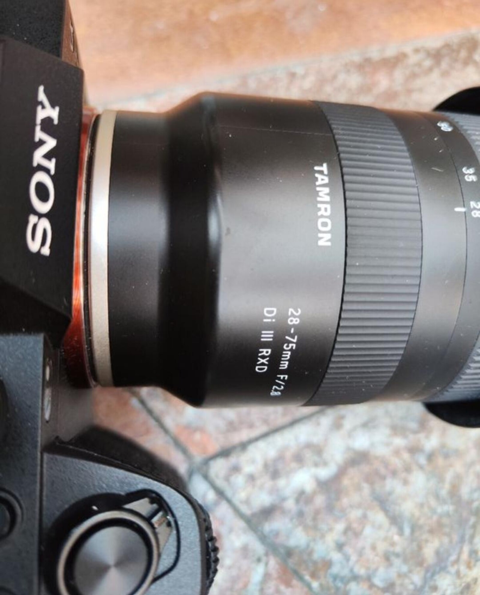 Sony Alpha 7S III - Tamron 28-75 - Photo 2 sur 3