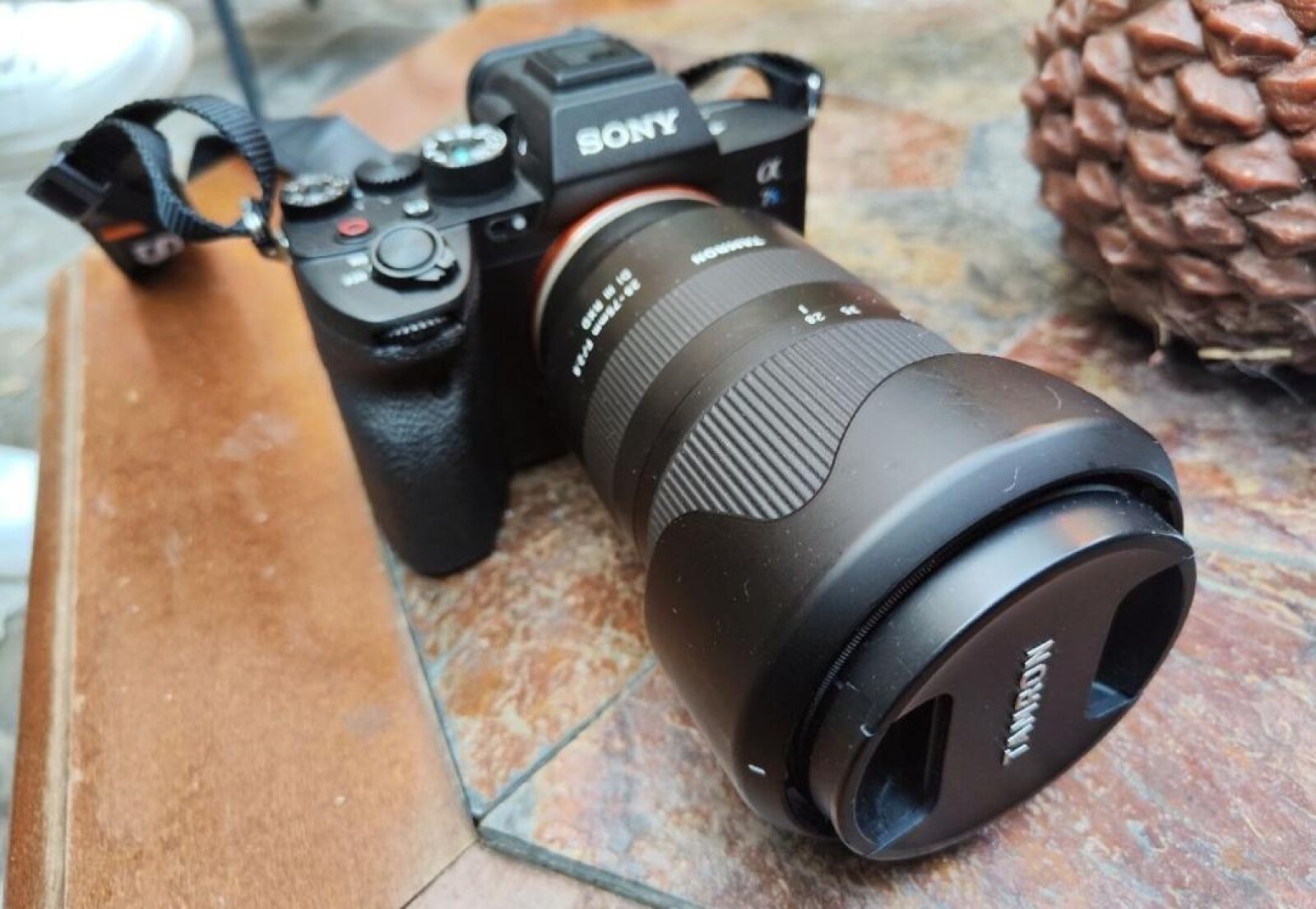Sony Alpha 7S III - Tamron 28-75 - Photo 1 sur 3