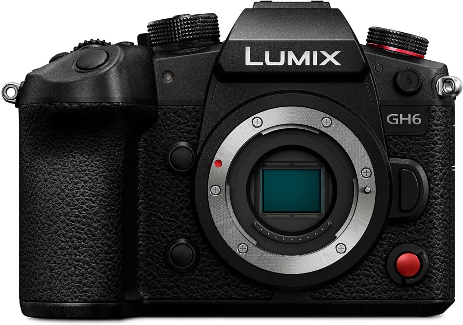 Panasonic LUMIX GH5S - Photo 1 sur 4