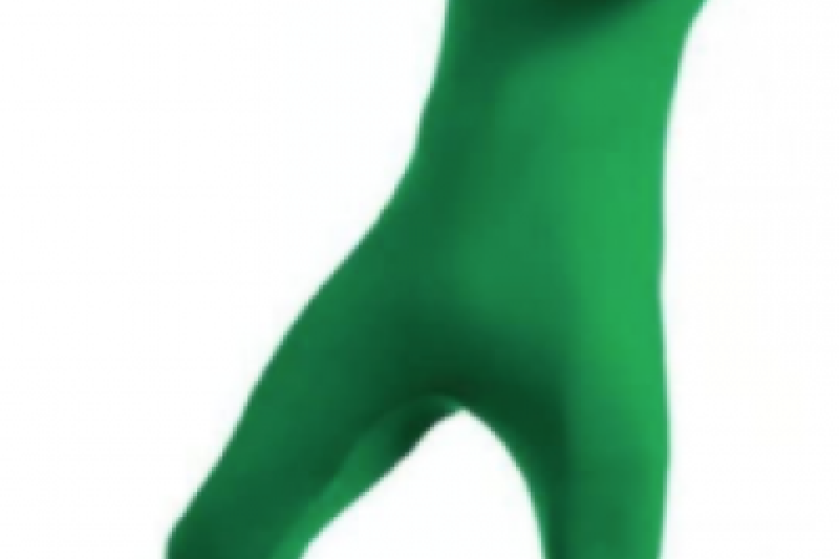 Location Matissa Corps Complet de la tête aux Pieds Costume Unisexe Spandex Body Deuxième Peau pour Les Hommes et Les Femmes (Vert, XX Large) - Lightyshare
