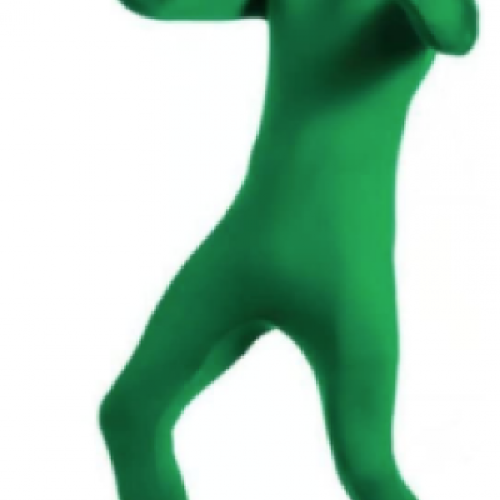 Matissa Corps Complet de la tête aux Pieds Costume Unisexe Spandex Body Deuxième Peau pour Les Hommes et Les Femmes (Vert, XX Large) - Photo 1 sur 1