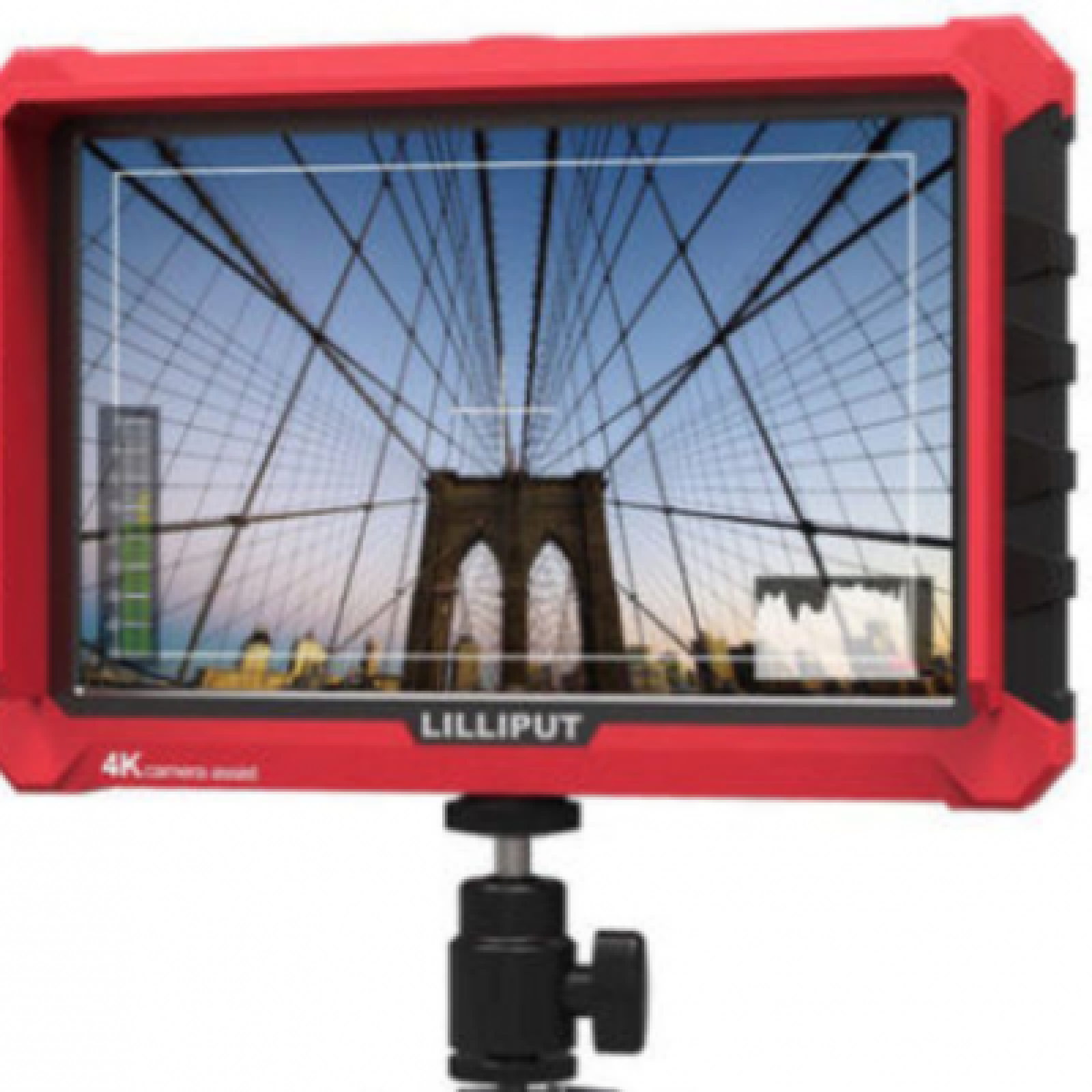 Location DJI Ronin-M - Photo 3 sur 4