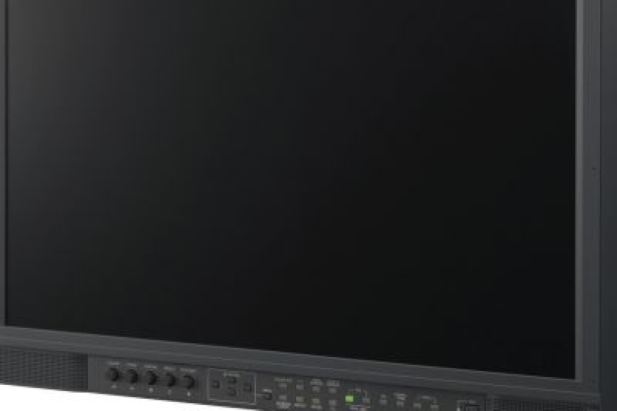 Location Moniteur LCD Multi Format 24' - Lightyshare