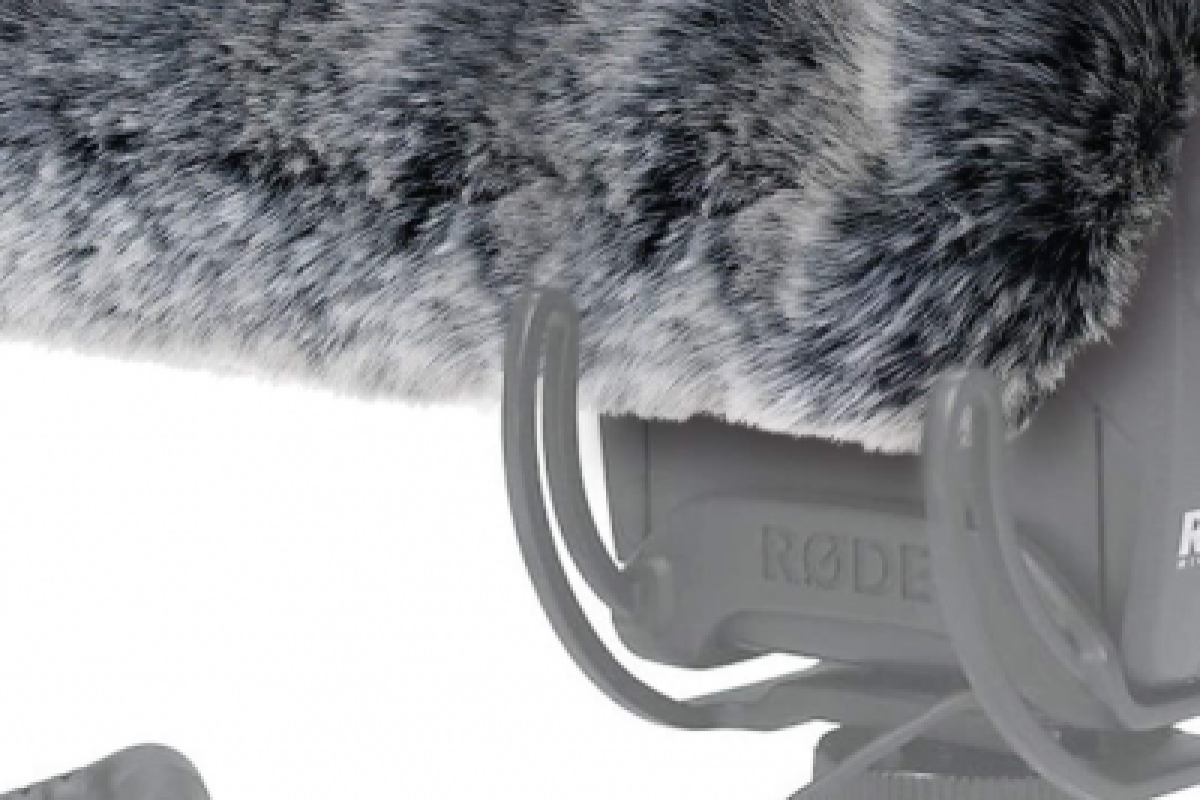 Location VideoMic Pro Rycote, Rode  + bonnette anti-vent - Lightyshare