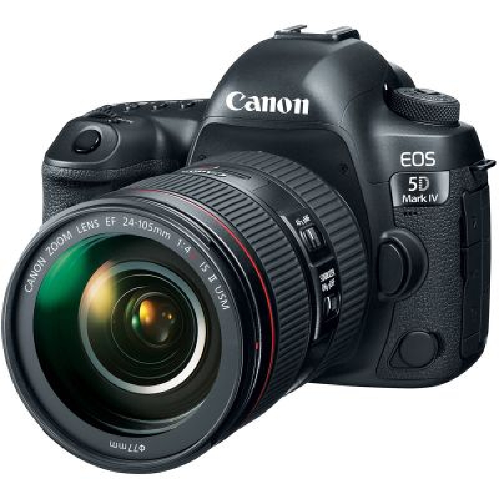 Canon 5D4 - Photo 1 sur 2