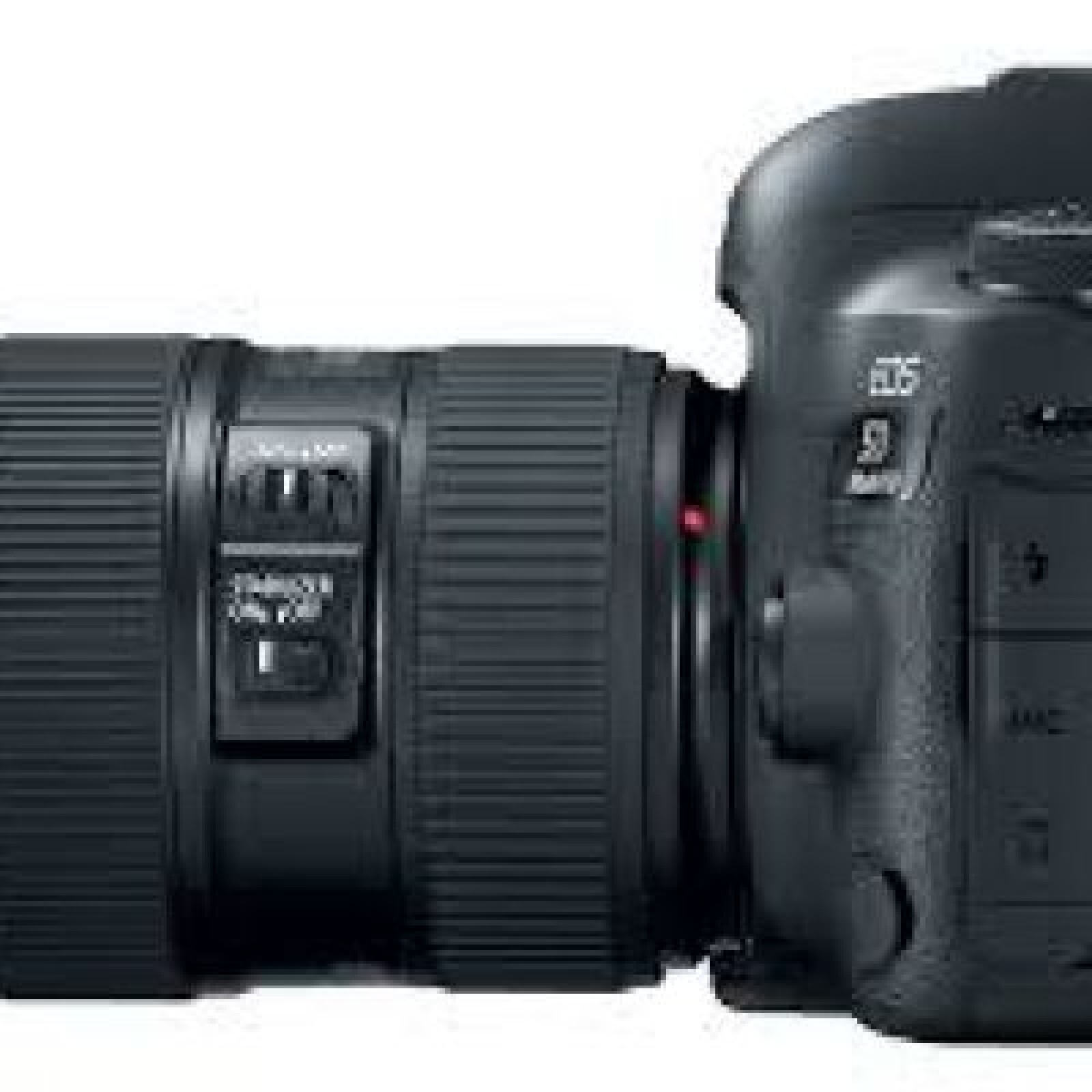 Canon 5D4 - Photo 2 sur 2