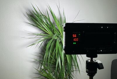 Location Aputure Al-F7 panneau LED