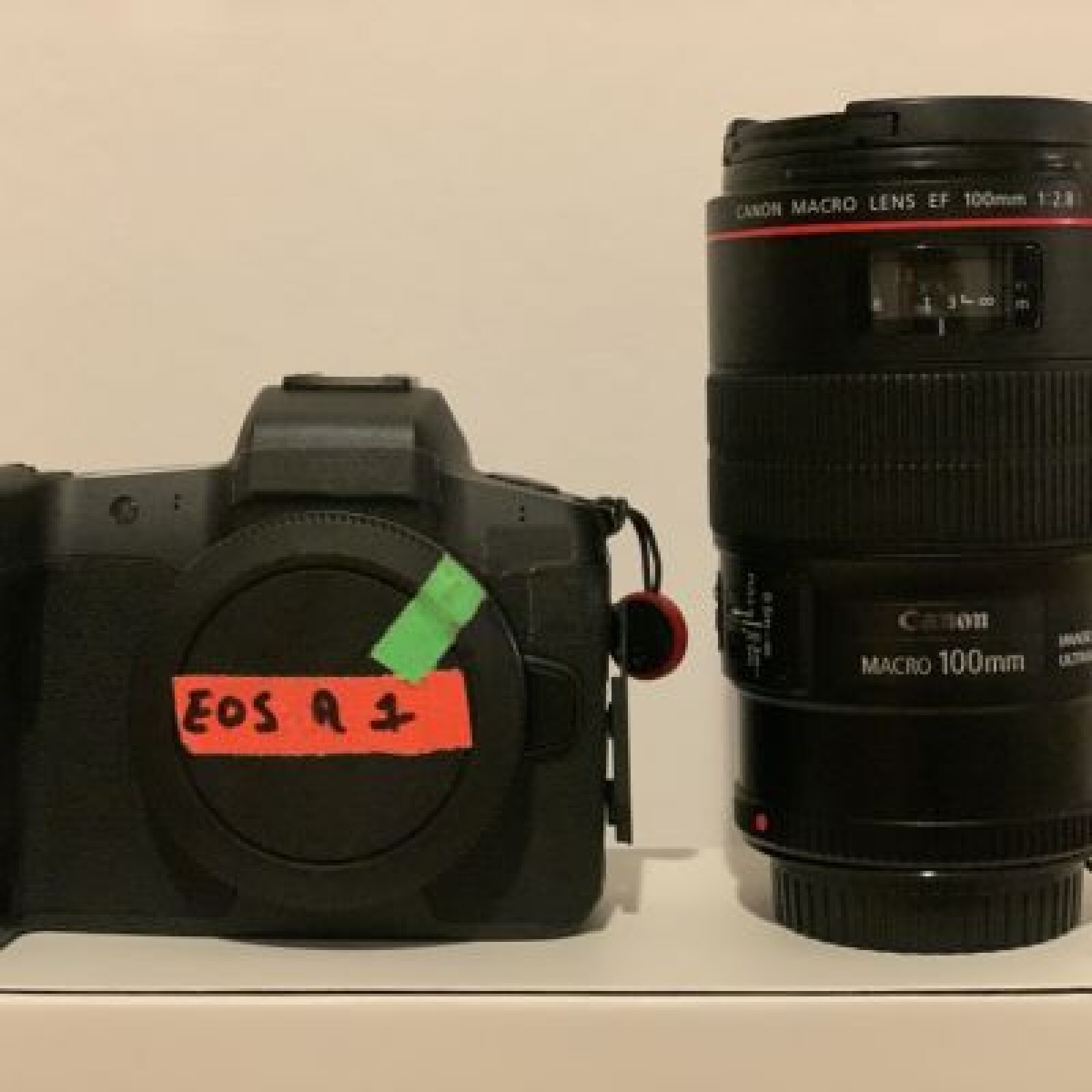 Canon Eos R + 1 objectif - Photo 3 sur 4