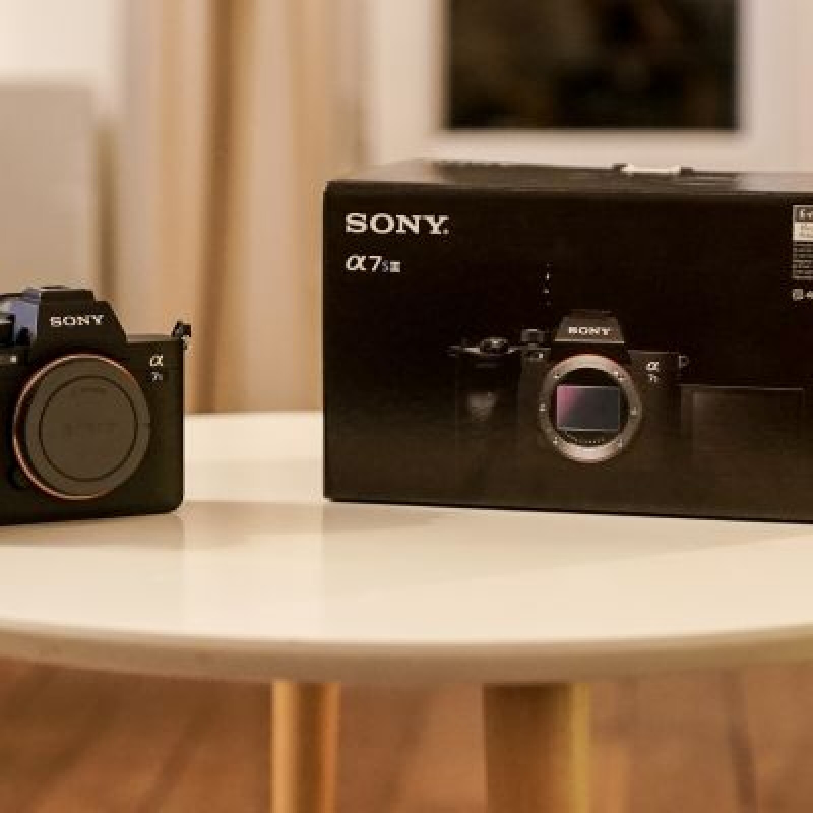 Sony Alpha 7S III (A7S 3) - Photo 1 sur 4