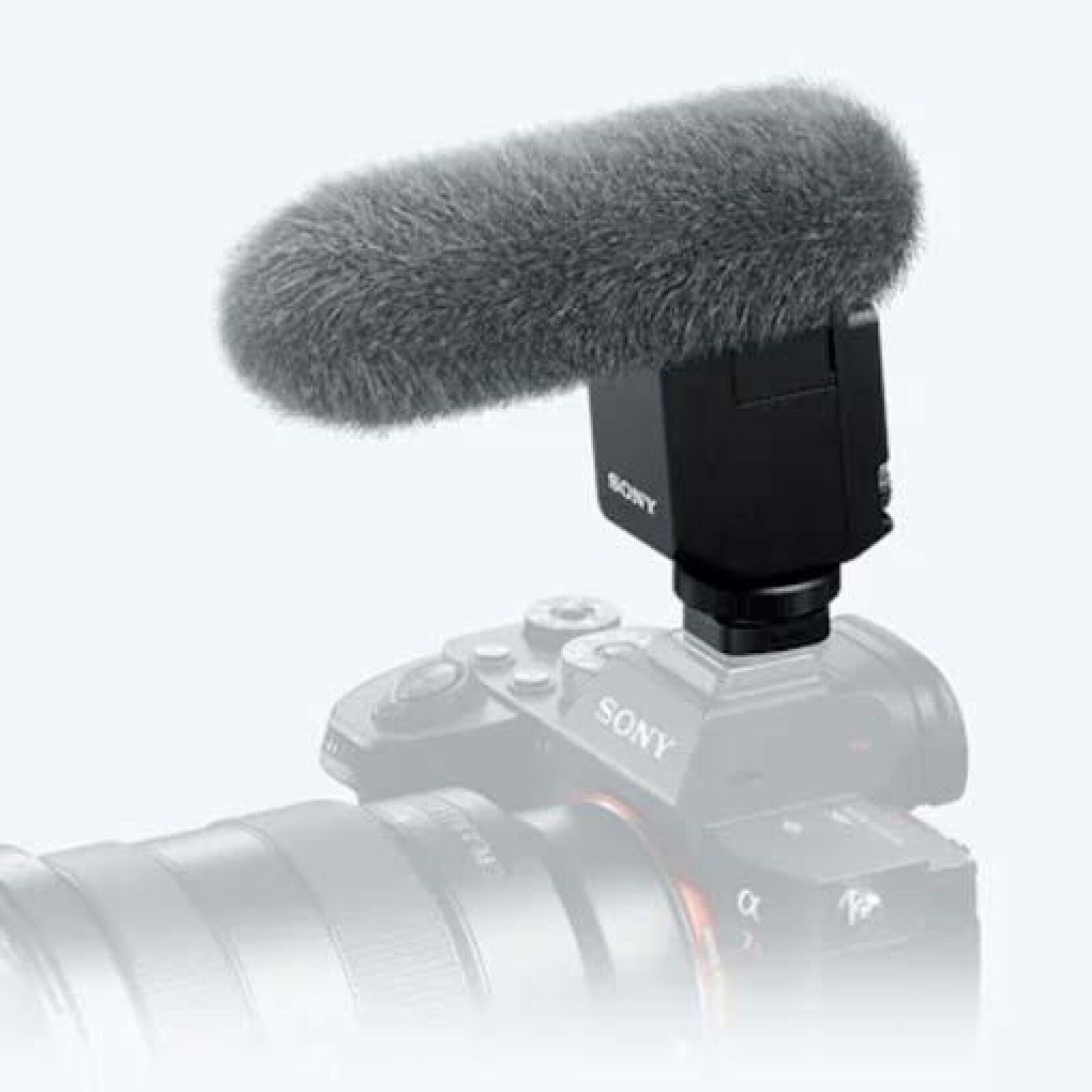 Sony Alpha 7 IV - kit reportage - Photo 3 sur 8