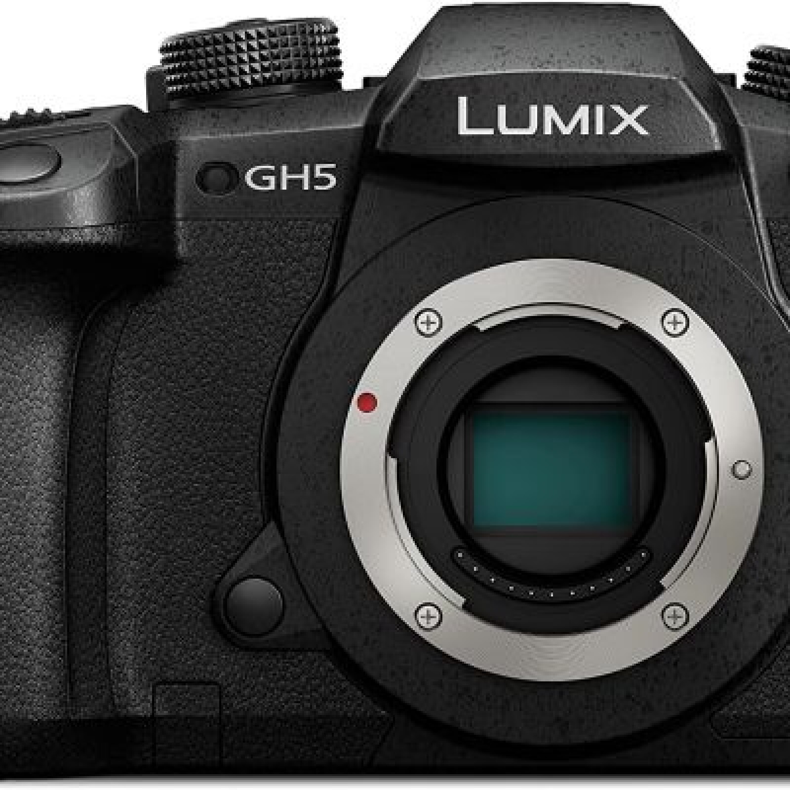 Panasonic GH5 Mark II - Photo 3 sur 5