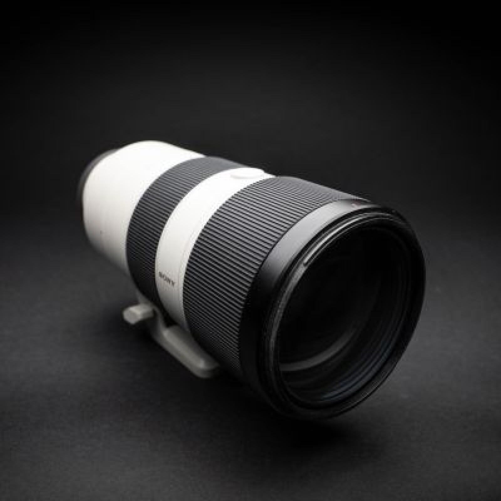 Sony FE 70-200 f/2.8 GM - Photo 1 sur 4