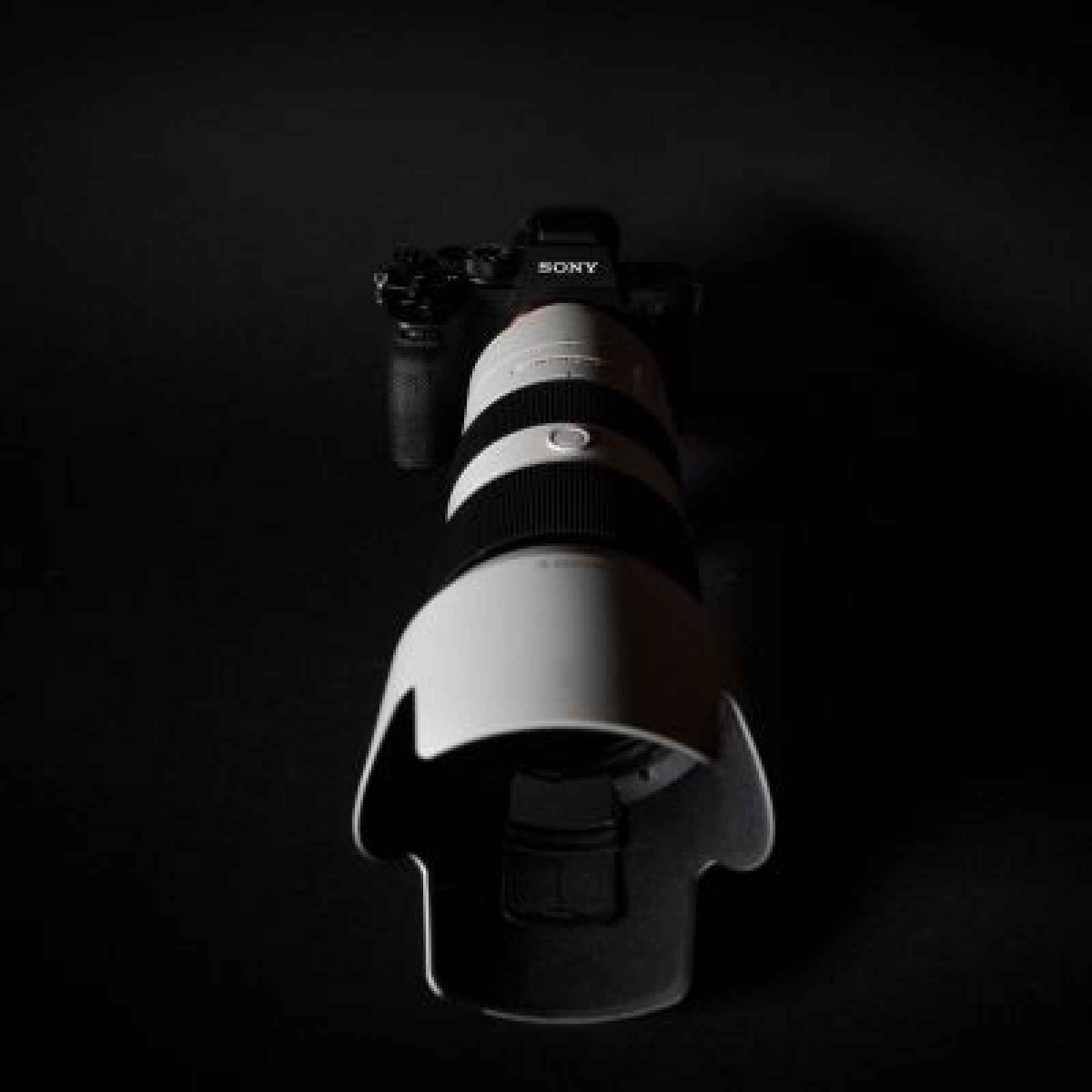 Sony FE 70-200 f/2.8 GM - Photo 2 sur 4