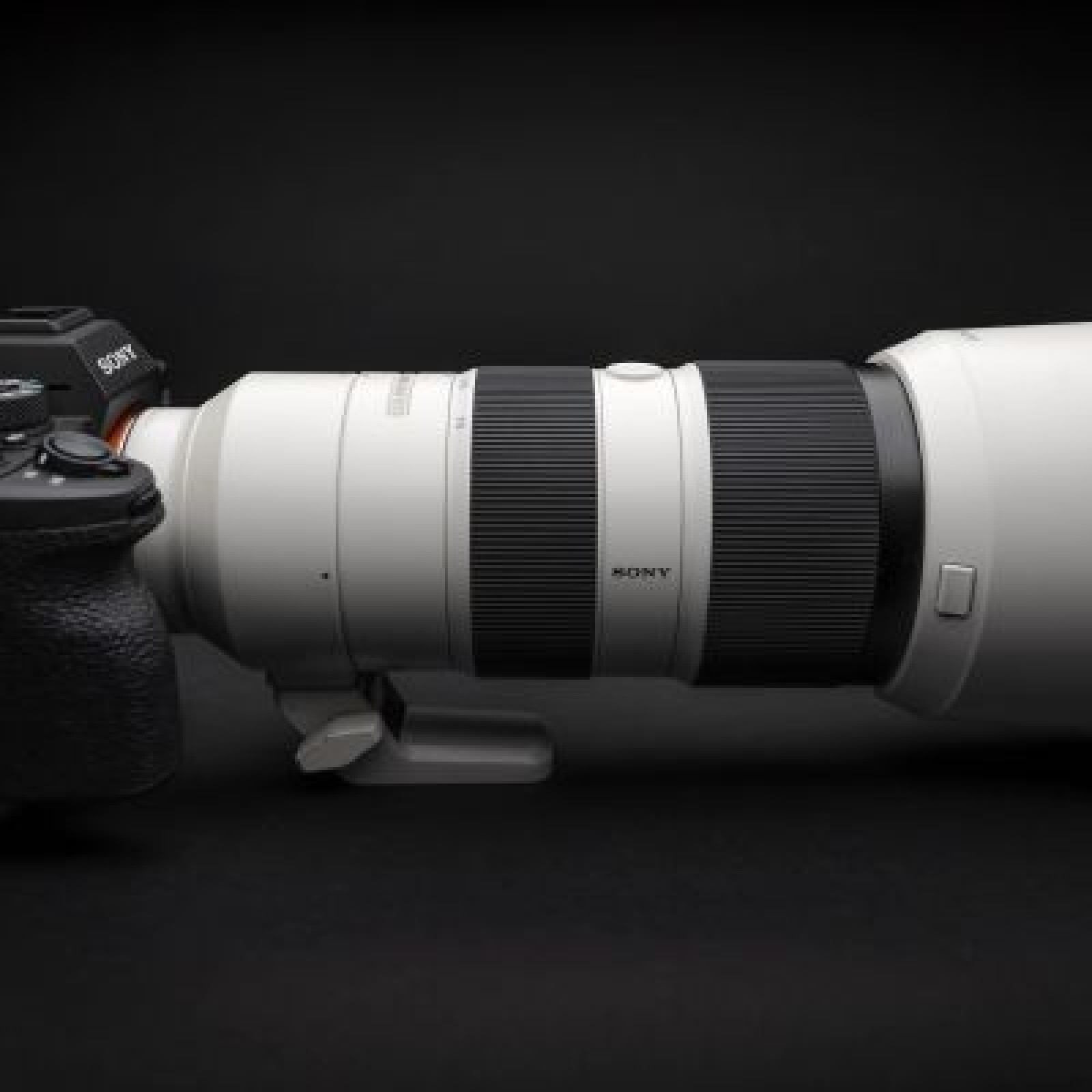 Sony FE 70-200 f/2.8 GM - Photo 3 sur 4