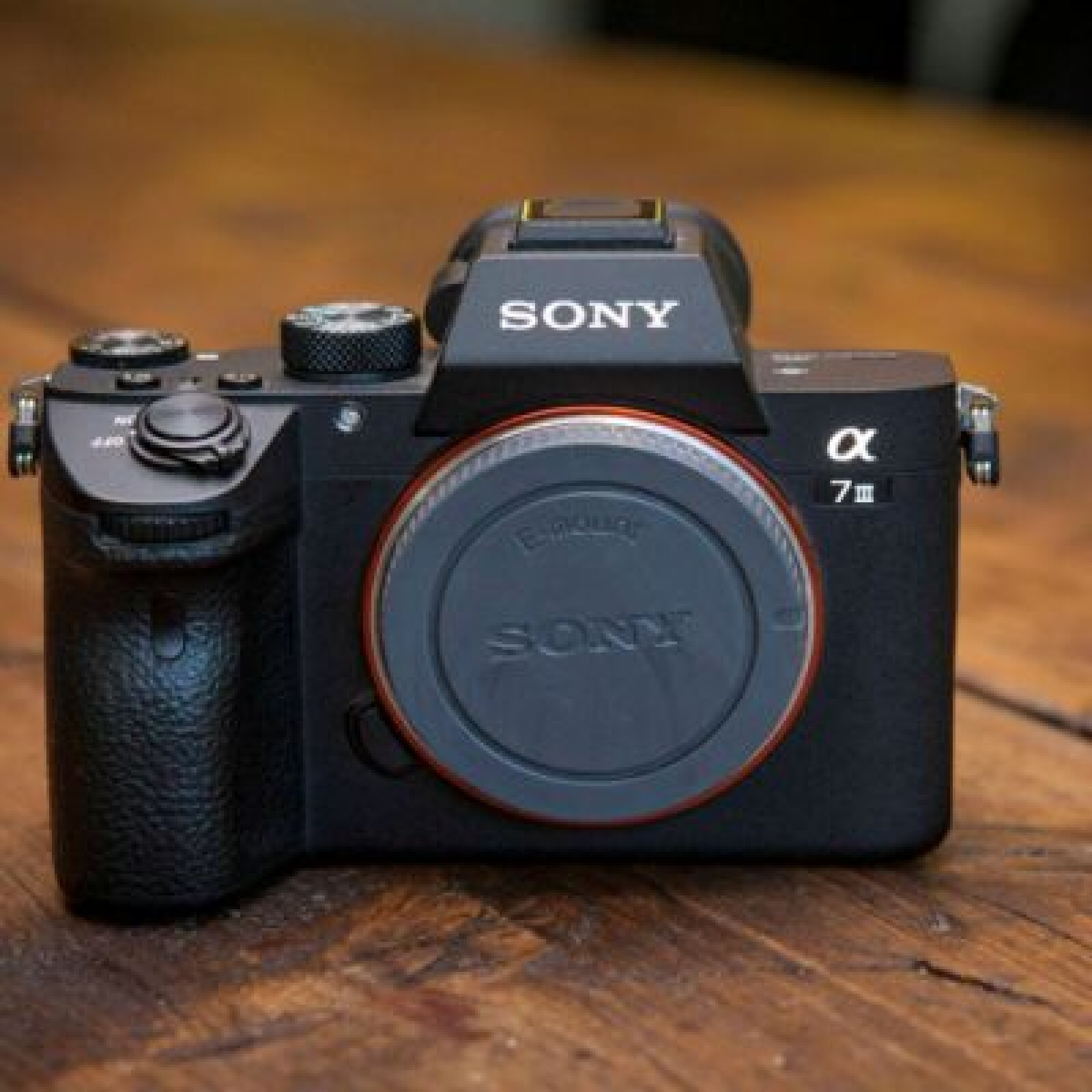 Sony Alpha 7III (+Smallrig) - Photo 1 sur 4