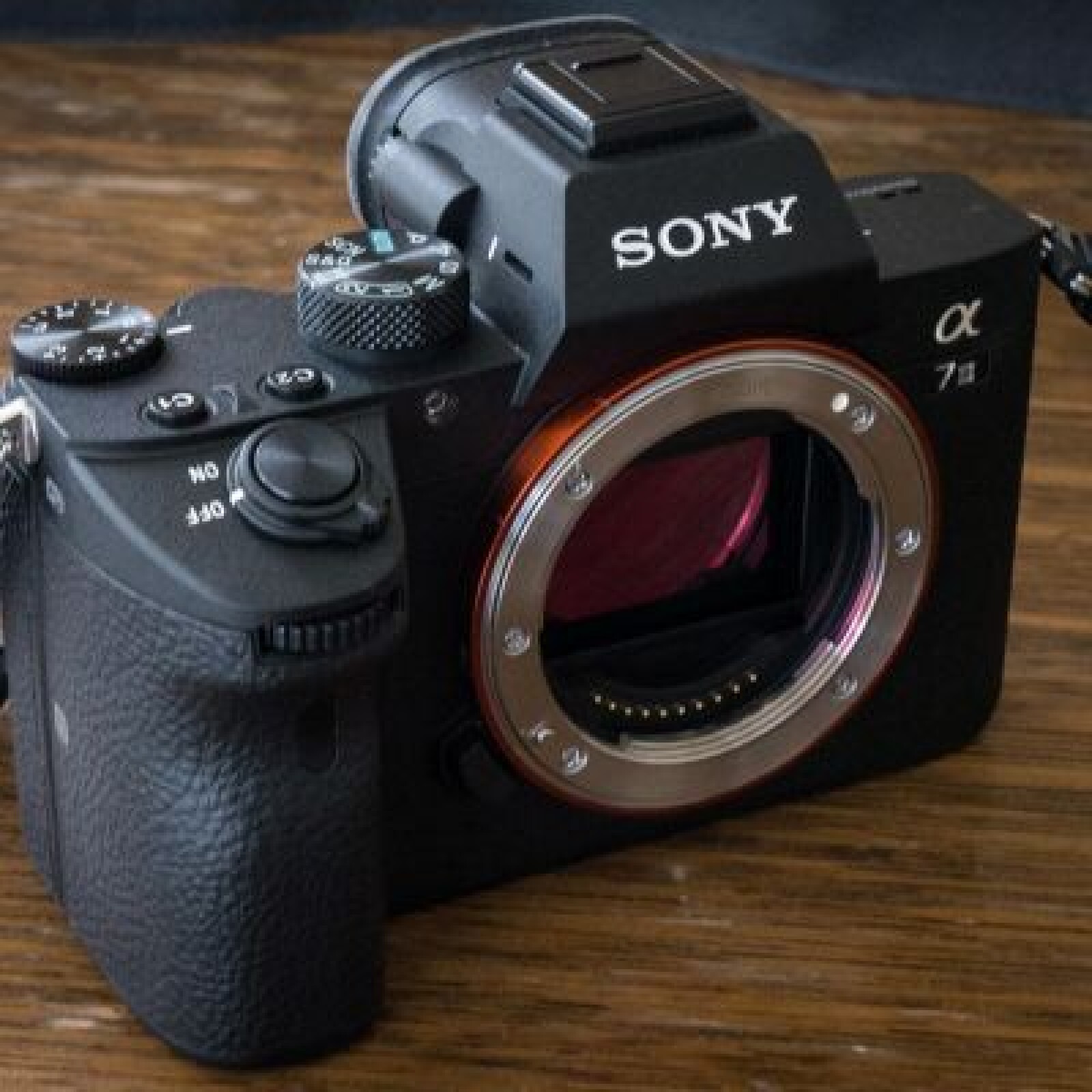 Sony Alpha 7III (+Smallrig) - Photo 2 sur 4