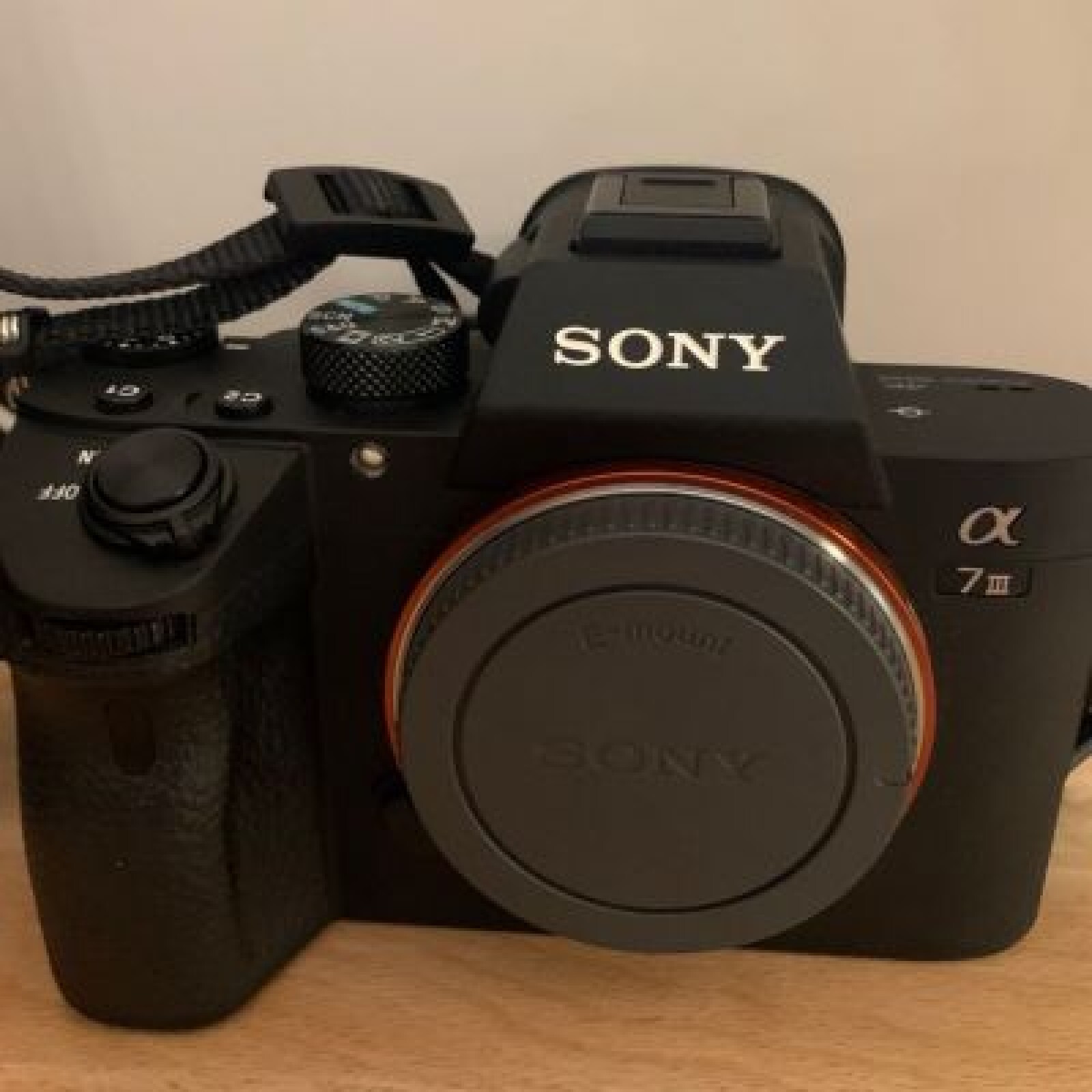 Sony Alpha 7III (+Smallrig) - Photo 4 sur 4