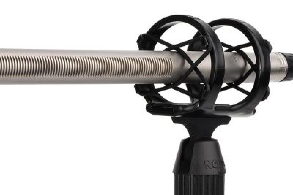 Location Rode NTG3 (Micro Canon) + Perche Rode + ZOOM H5 + Bonnette anti-vent - Lightyshare