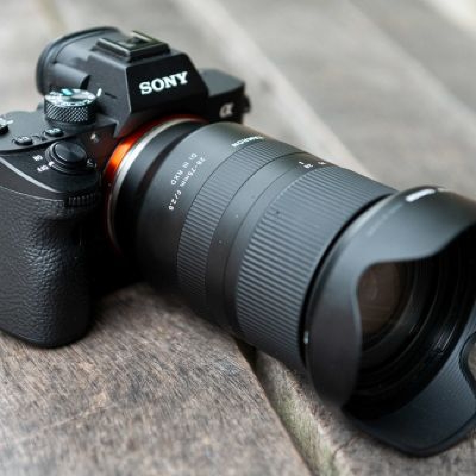 A7 iii + Tamron 28-75 2.8 - Photo 1 sur 1