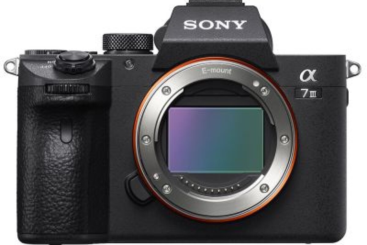 Location ALPHA 7III NU - CARTE MEMOIRE  - 2 BATT - Lightyshare