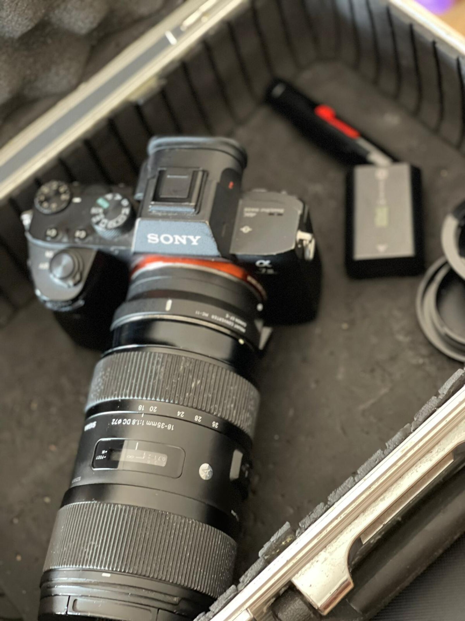 Sony Alpha 7iii +  Sigma  18-35mm F1.8 DC HSM + Bague CANON EF- E - Photo 2 sur 4