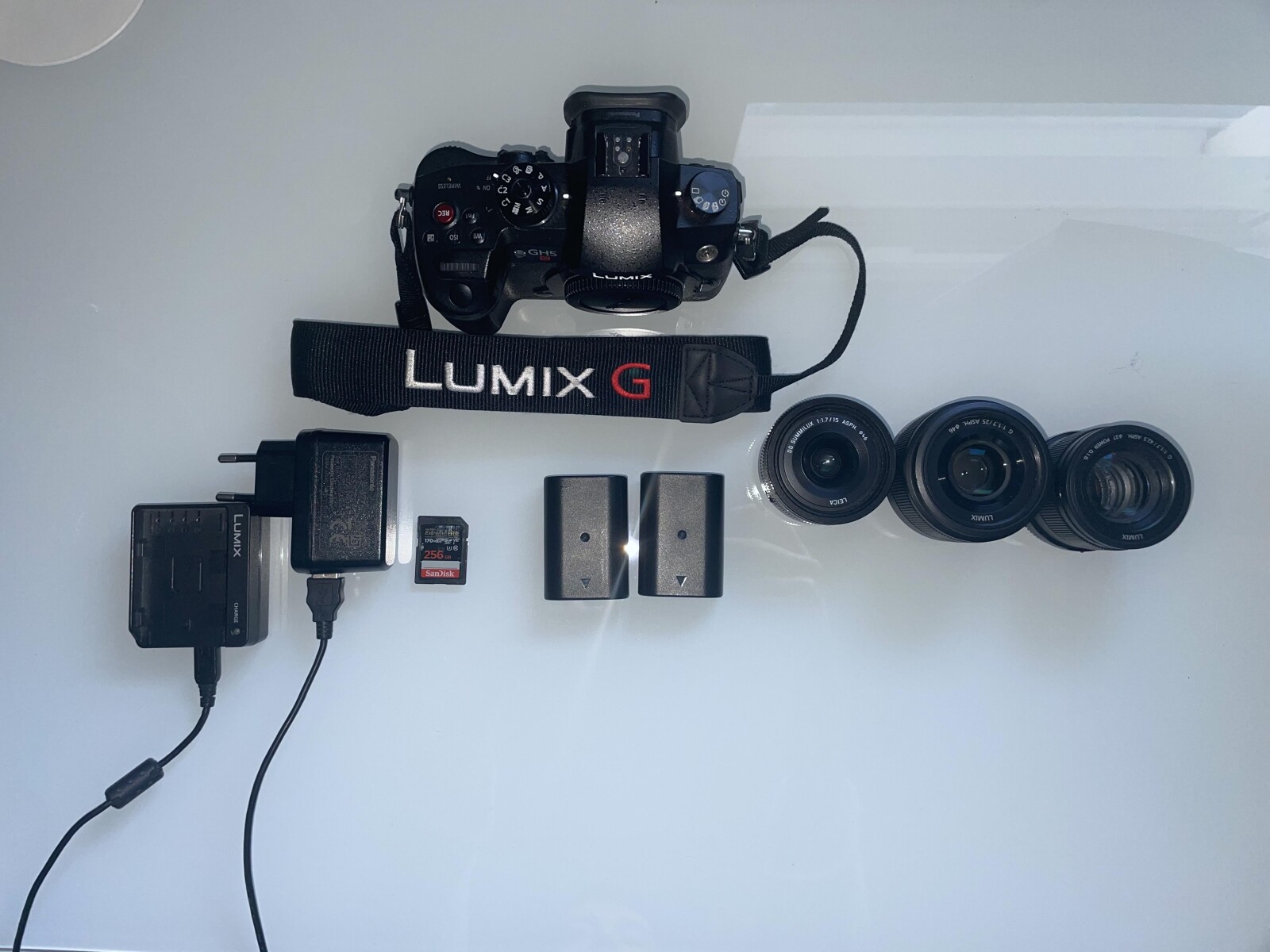Panasonic LUMIX GH5S - Photo 1 sur 5