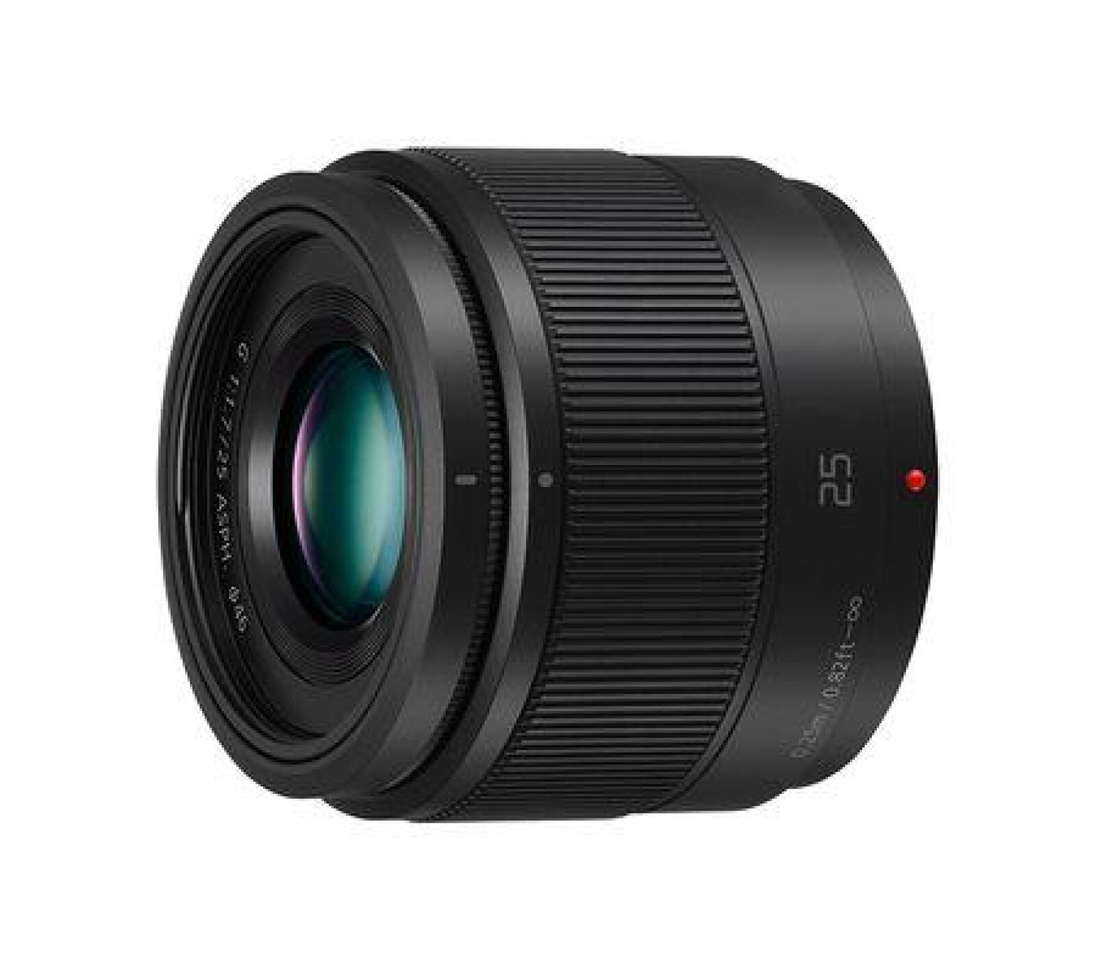 Panasonic LUMIX GH5S - Photo 4 sur 5