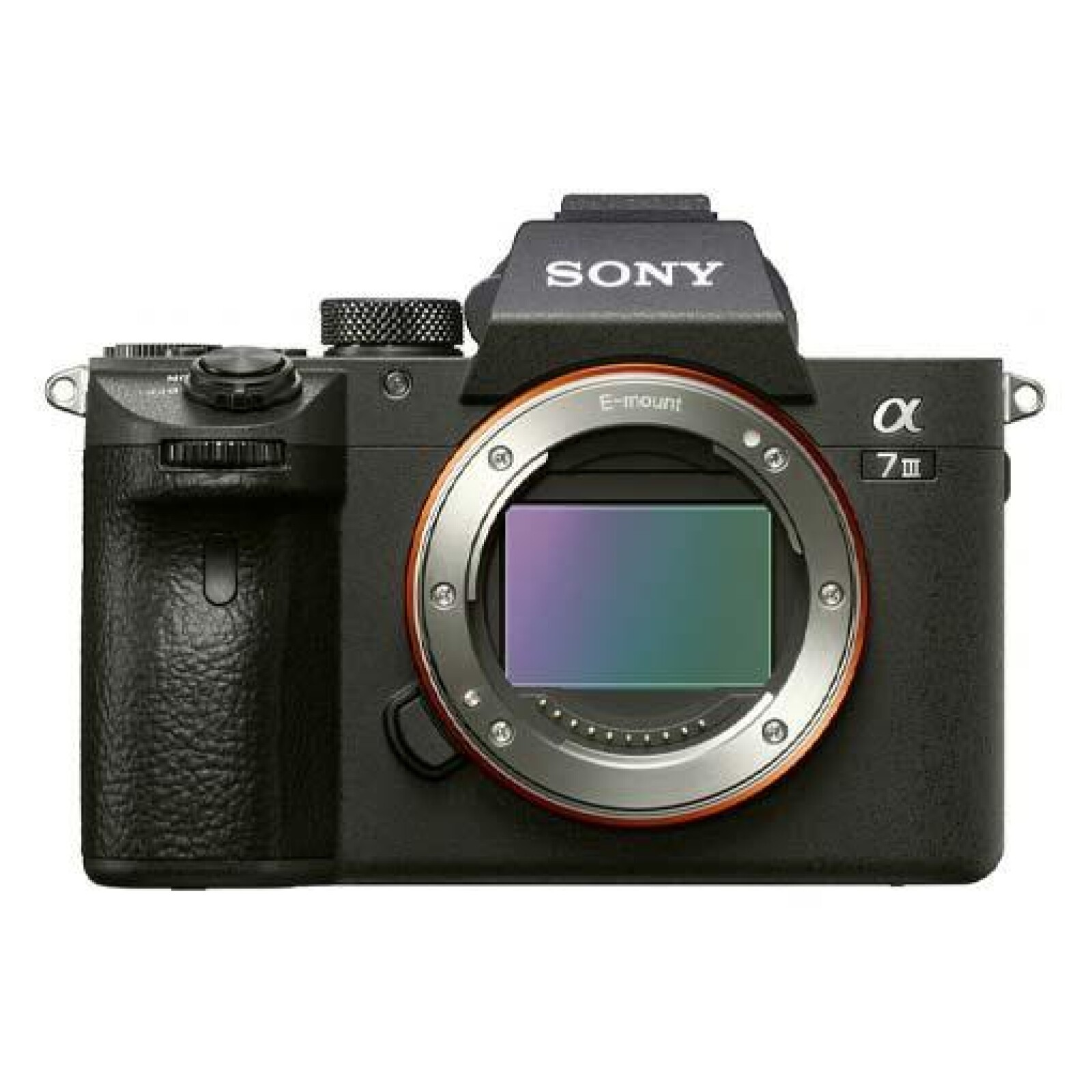 Sony A7III  - Photo 2 sur 4