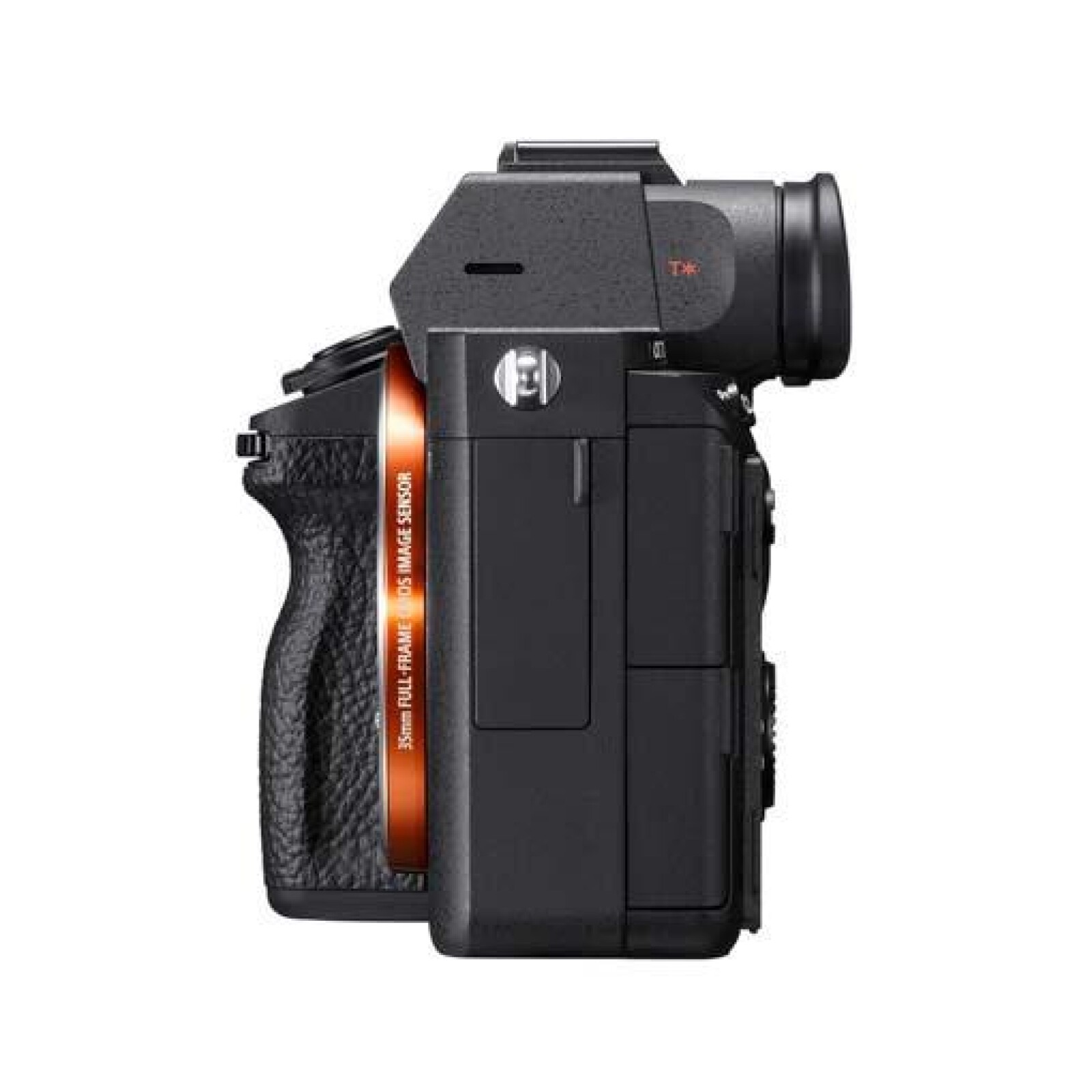 Sony A7III  - Photo 4 sur 4