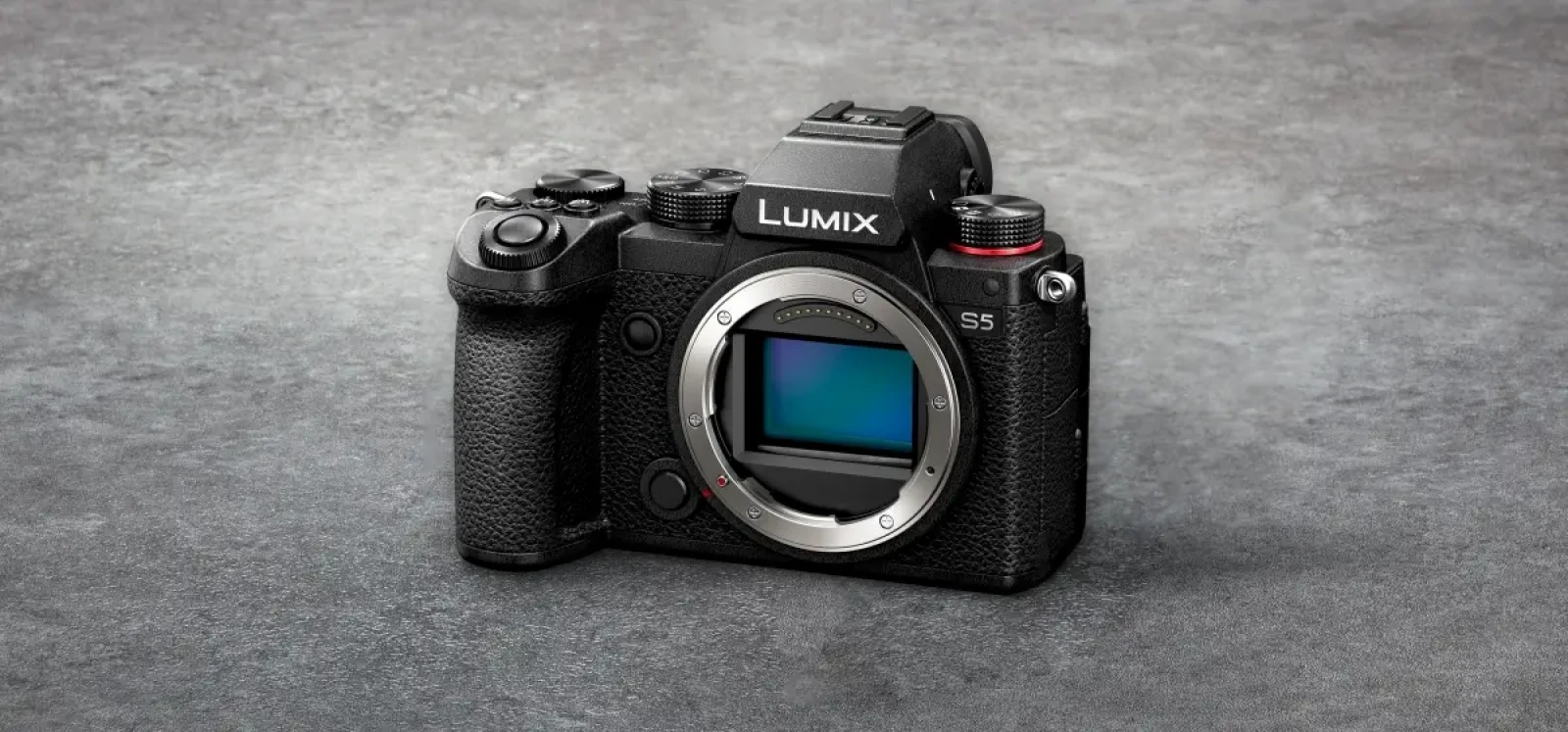 Panasonic Lumix S5 - Photo 1 sur 1