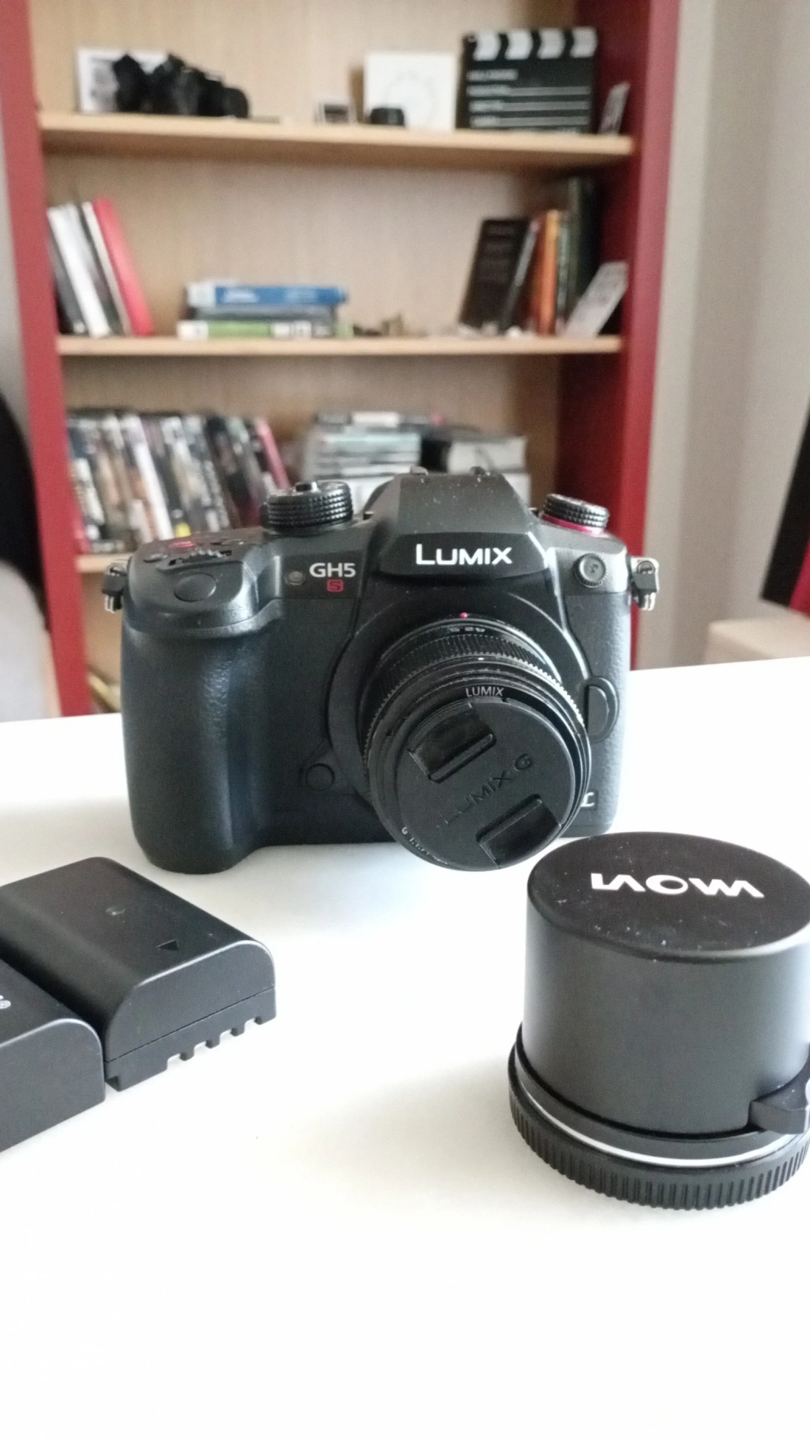 Panasonic LUMIX GH5S - Photo 1 sur 2