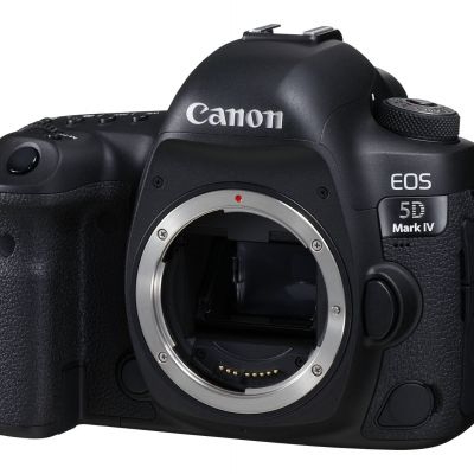 Canon EOS 5D MIV - Photo 1 sur 1