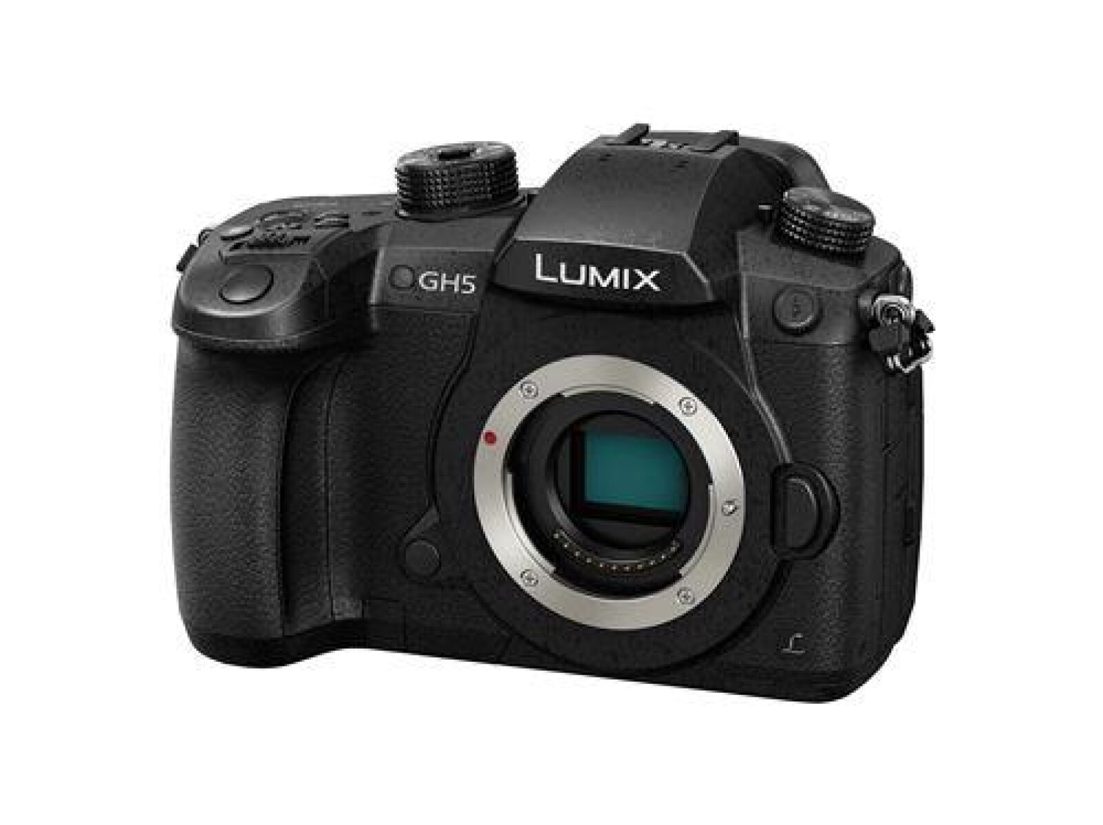 Panasonic GH5 - Photo 1 sur 1