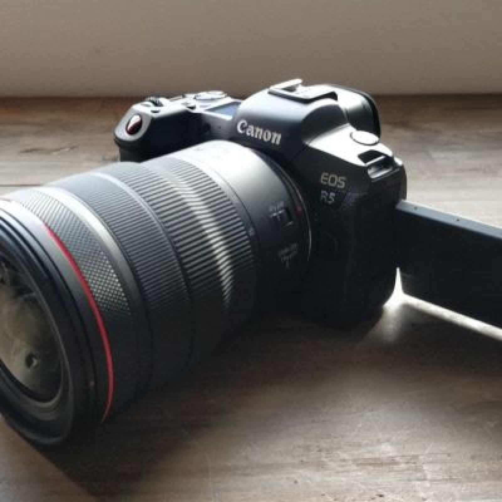 Canon EOS R5 - Photo 2 sur 4
