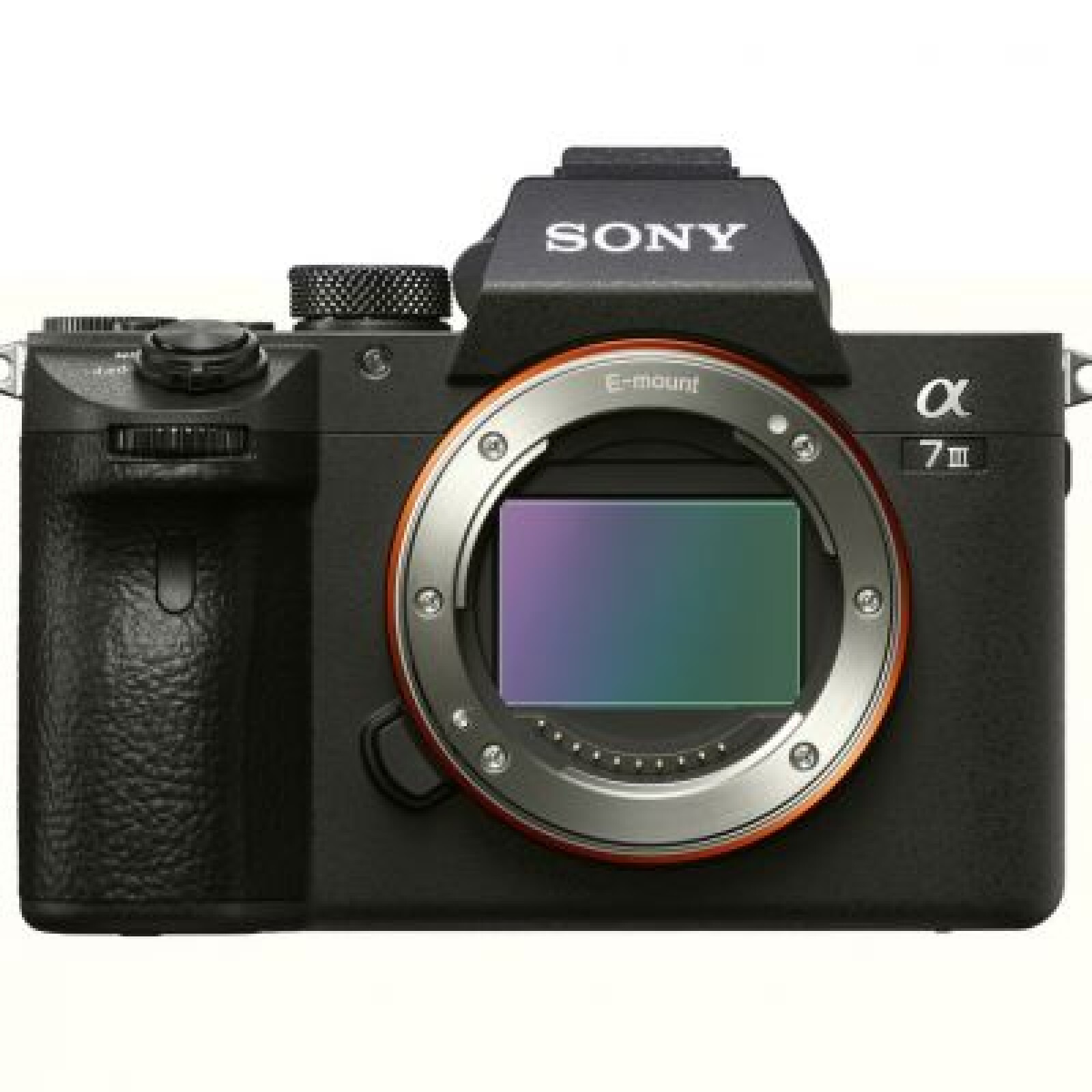 Sony Alpha 7 III - Photo 1 sur 4