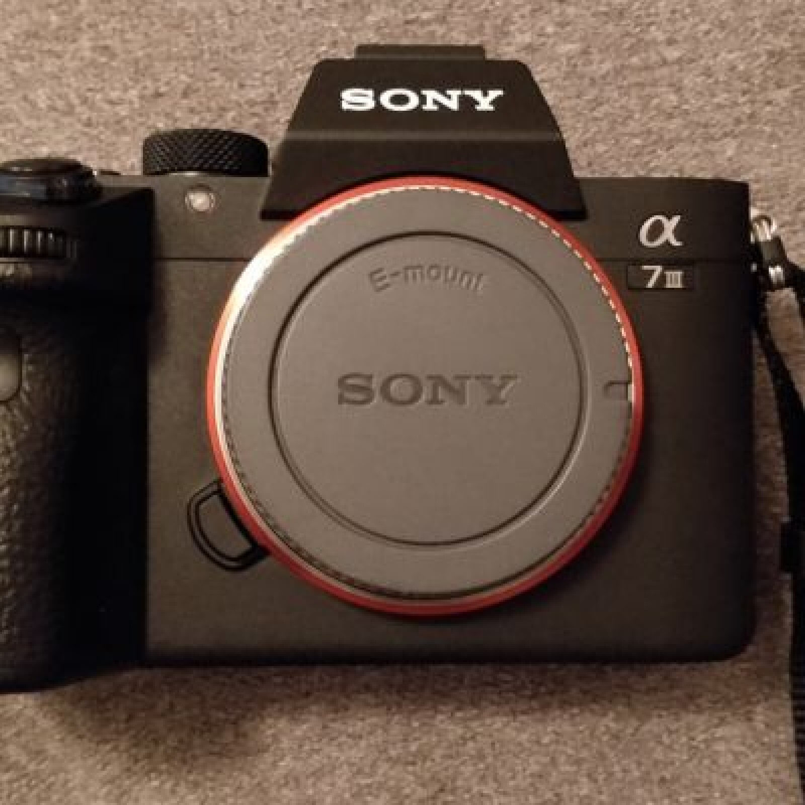 Sony Alpha 7 III - Photo 2 sur 4