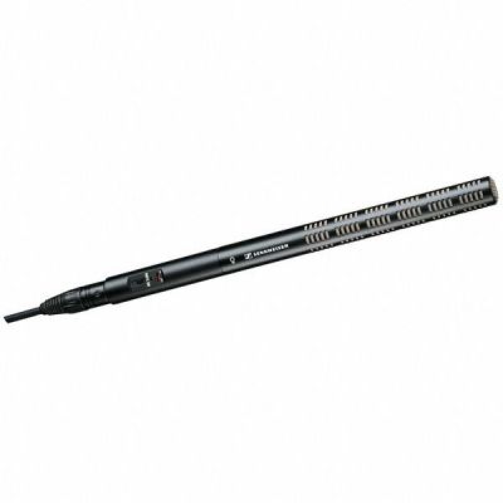 Micro Perche ME66 - Photo 1 sur 1