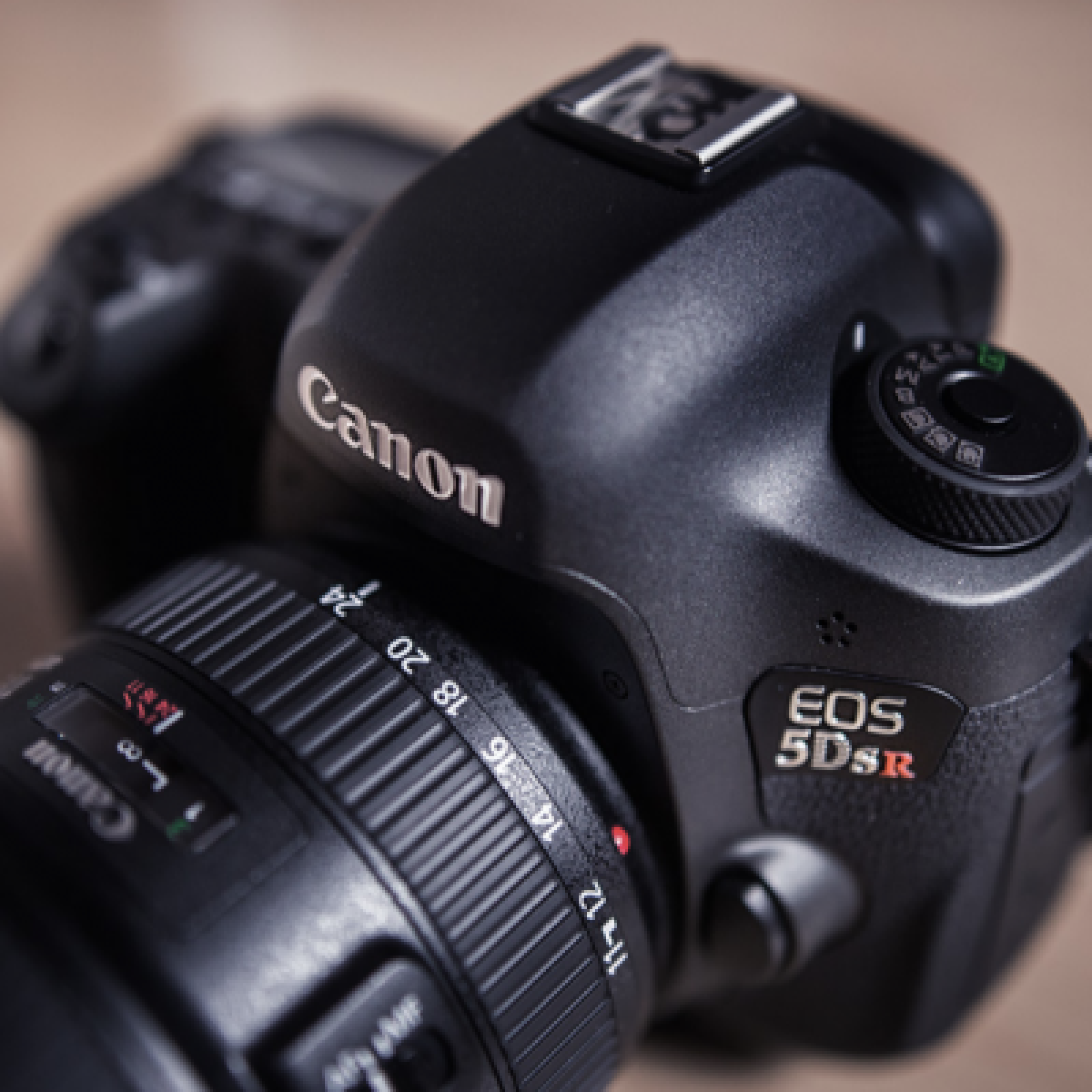 CANON EOS 5D SR 50 MP - Photo 1 sur 1
