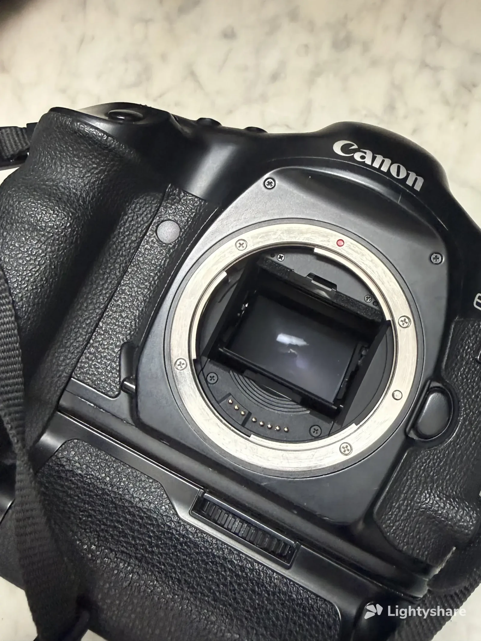 Canon 1V - Photo 5 sur 7
