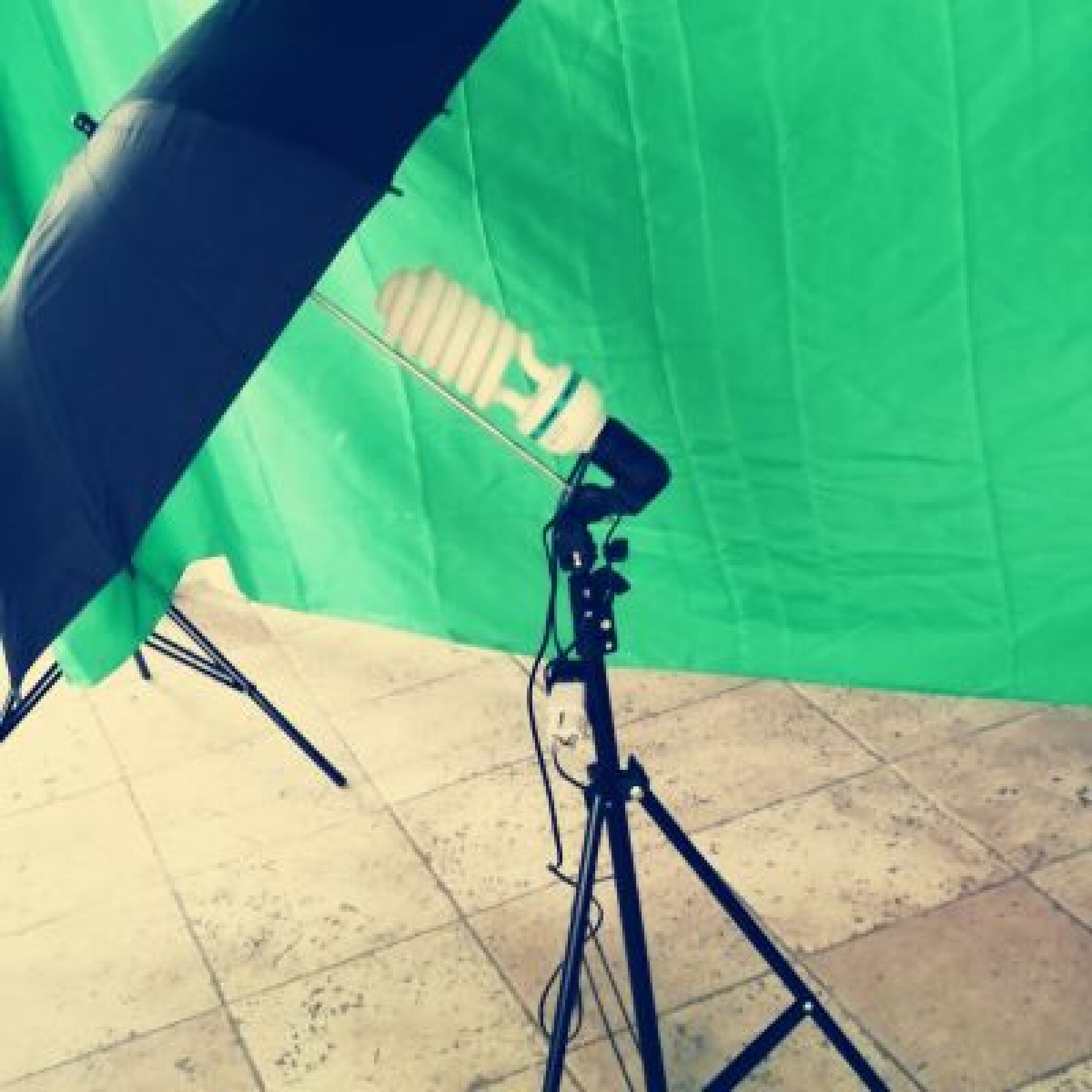 Fond vert avec Support + Un éclairage parapluie - Photo 2 sur 3