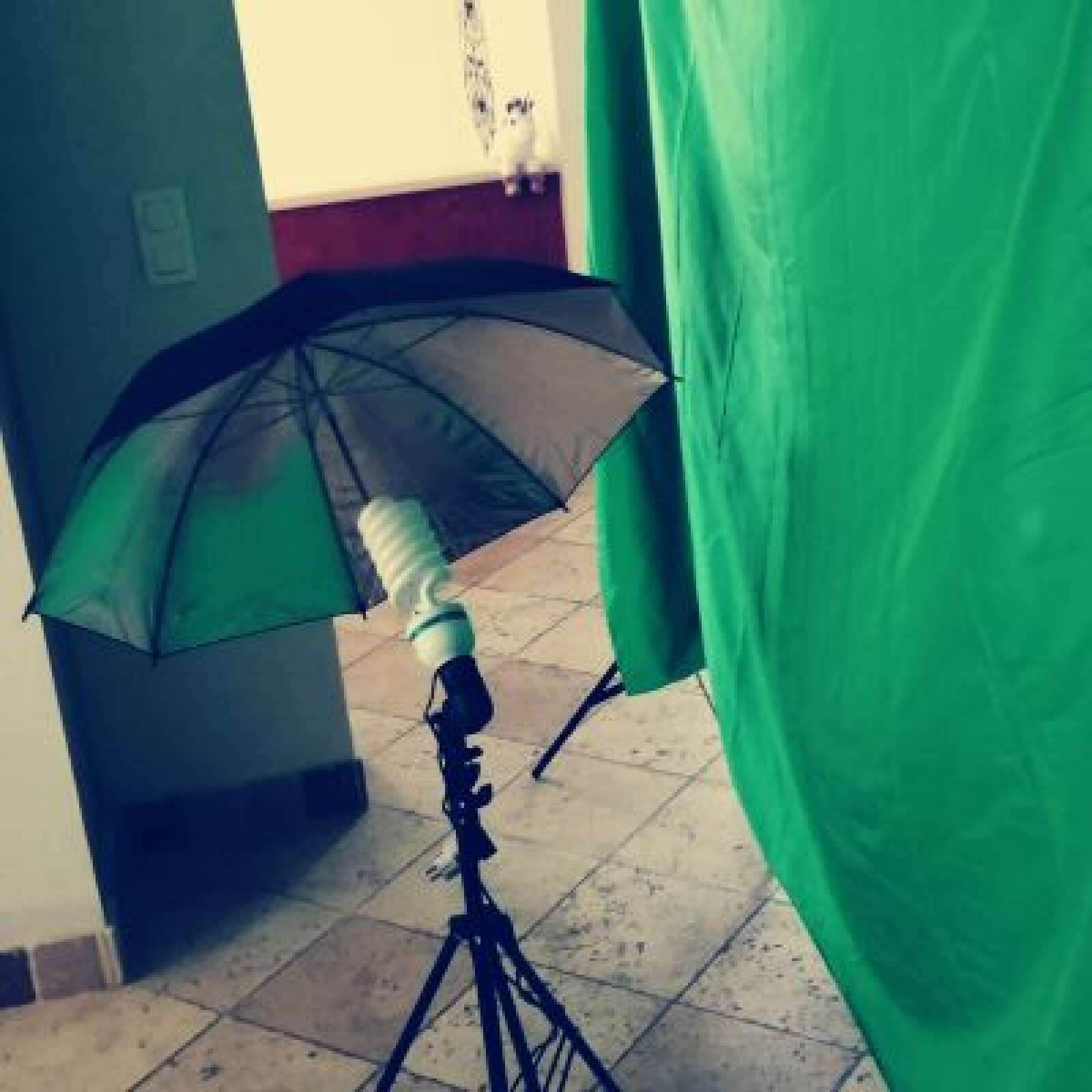 Fond vert avec Support + Un éclairage parapluie - Photo 3 sur 3