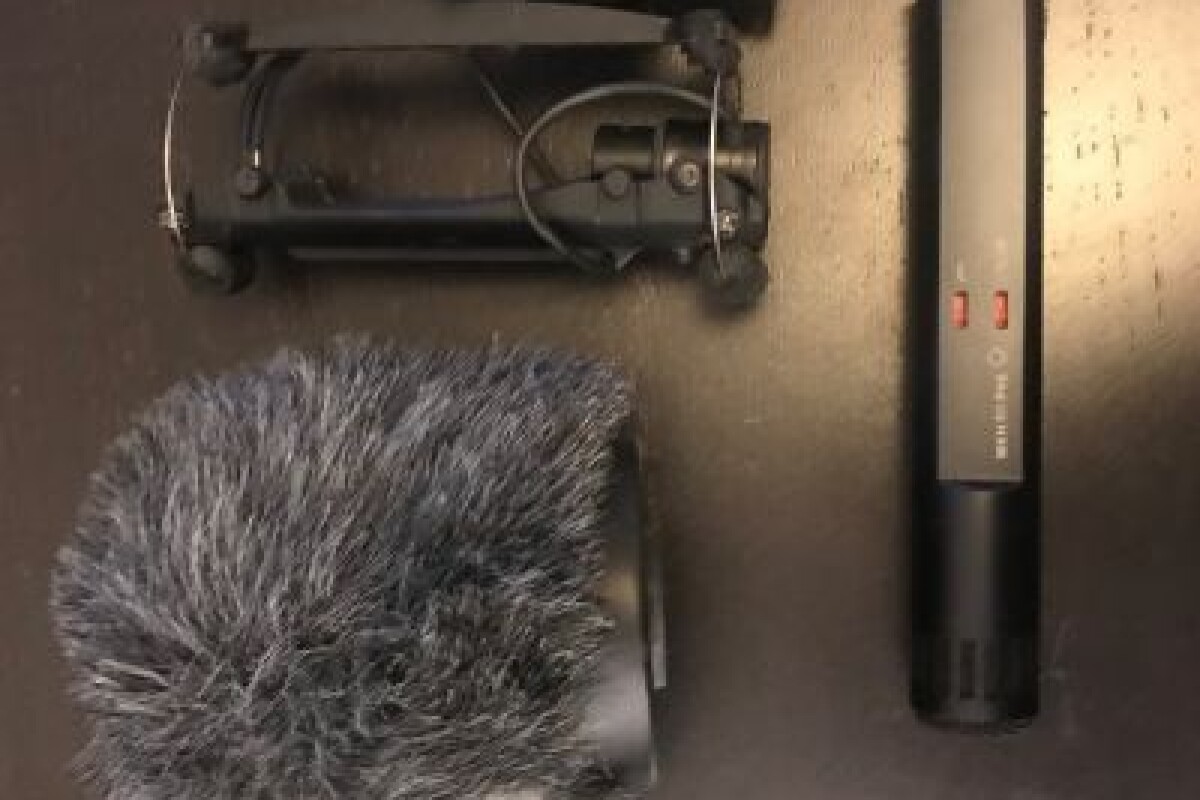 Location Micro Sennheiser MKH 60 - Lightyshare