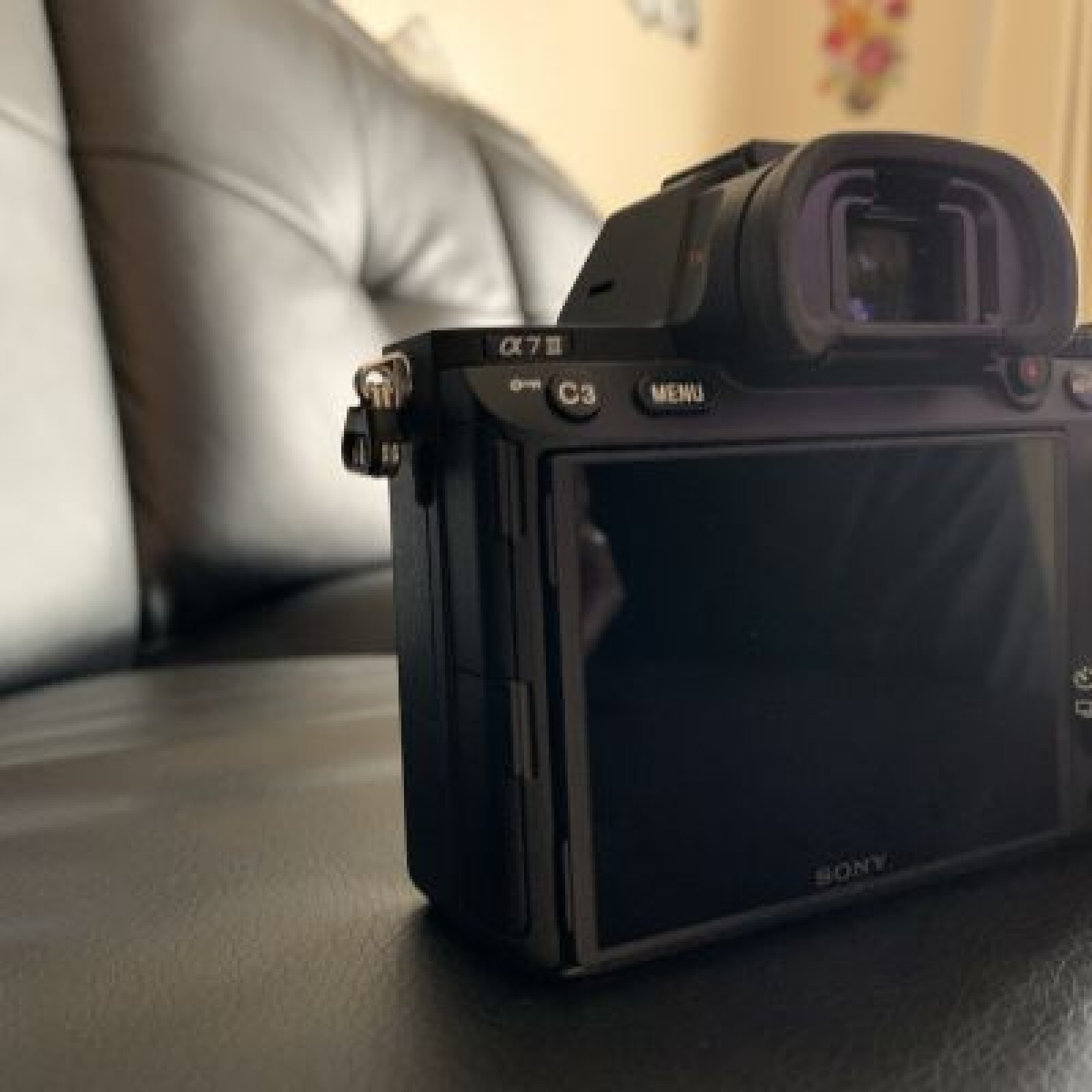 SONY A7 3 - Photo 4 sur 5